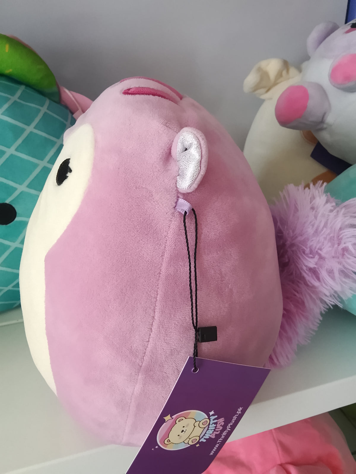 Squishmallows Allina the Squirrel plush toy.