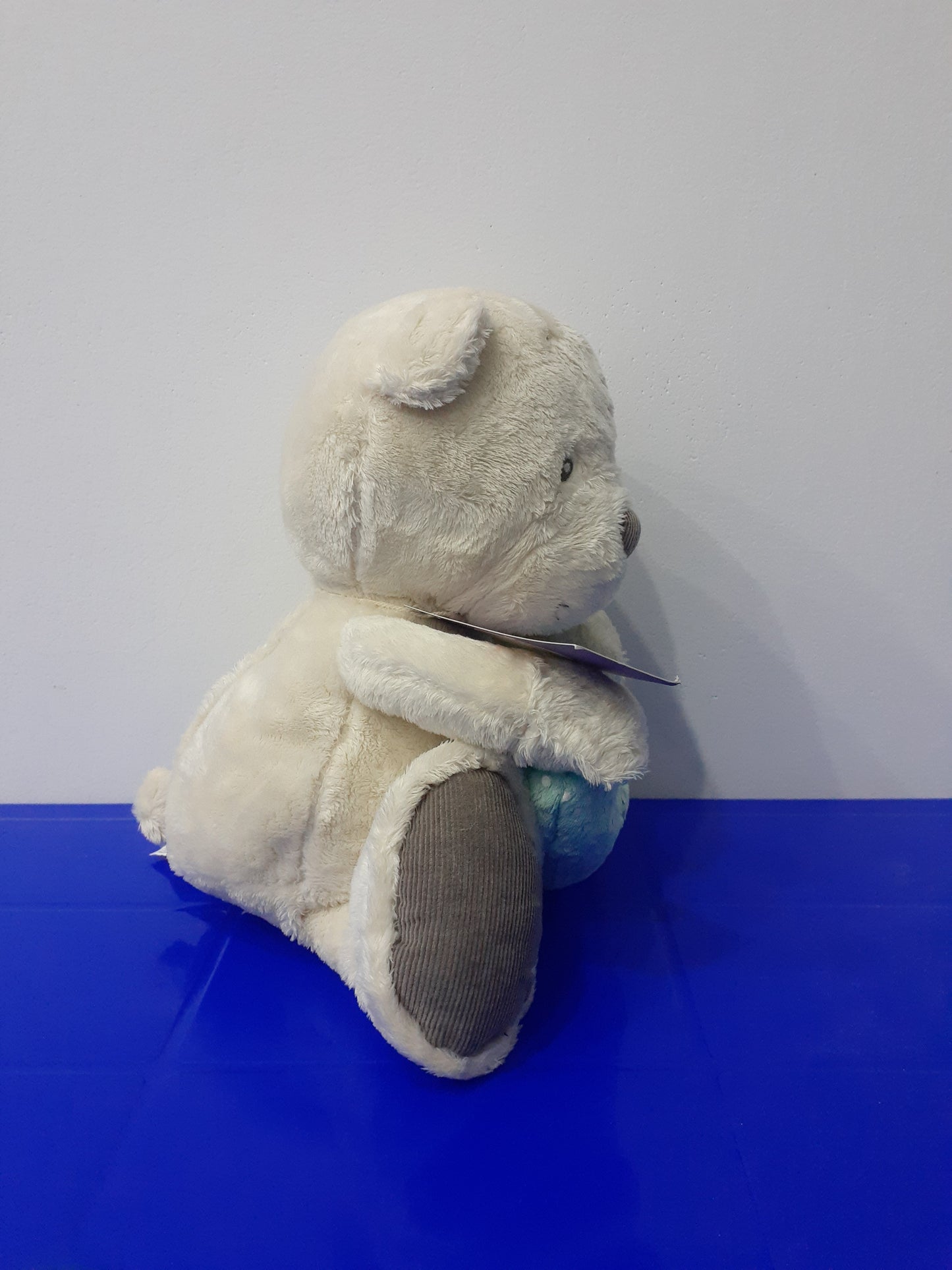 Teddy Bear Holding A Heart-Shaped Pillow