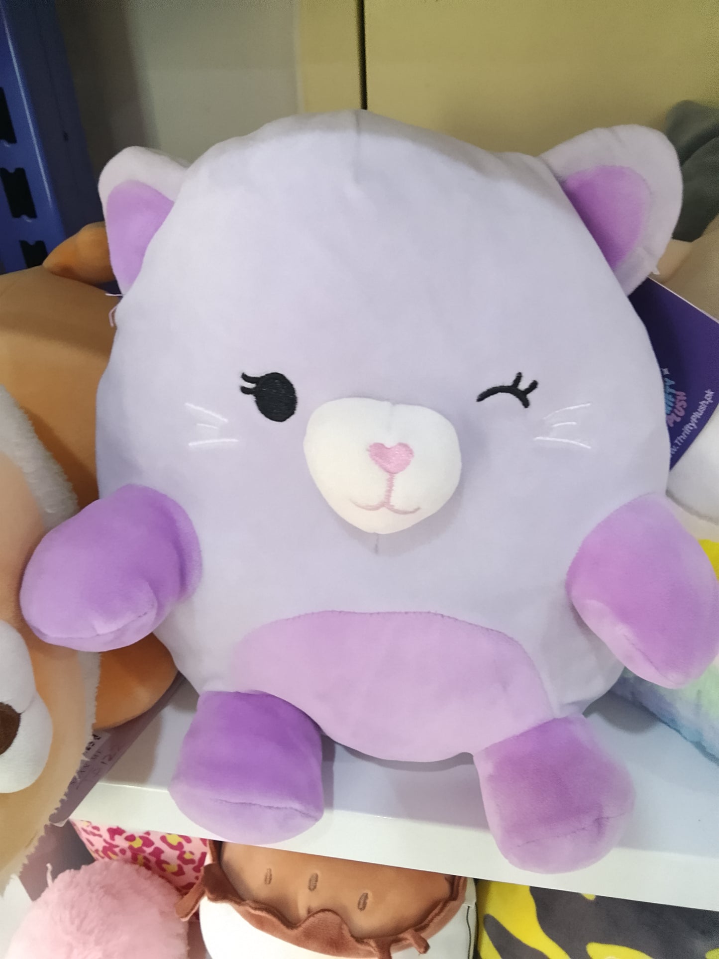 Super Duper Sugar Squishers Fiona the Kitten plush toy.
