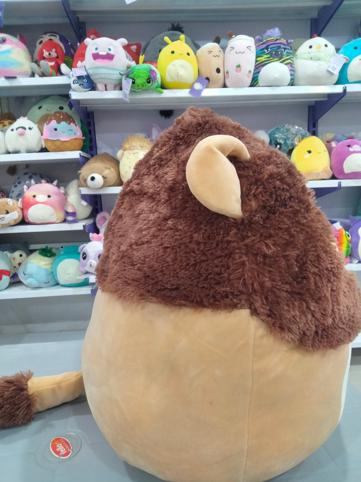 Squishmallow plush toy, Francis The Lion.