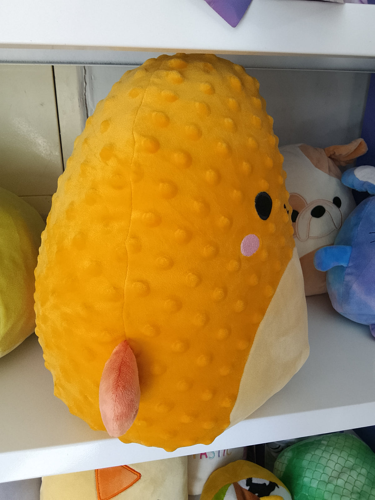 Squishmallows Safa the Pufferfish, soft, marshmallow Plush toy.