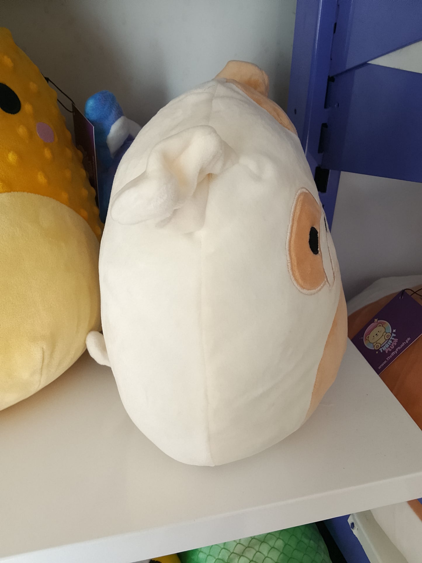 Squishmallows Brock the Bulldog plush toy, part of the Dogs Squad collection.