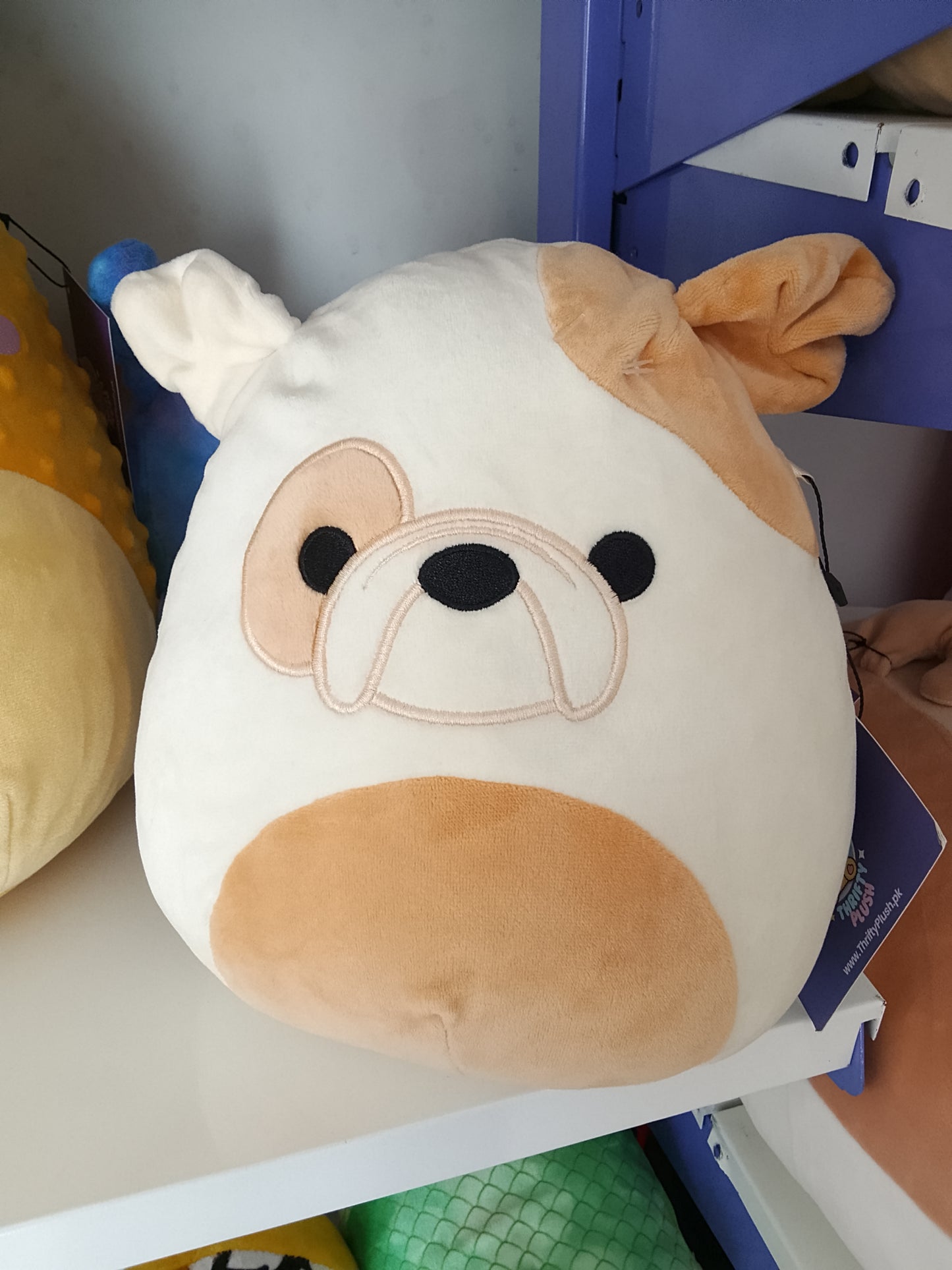 Squishmallows Brock the Bulldog plush toy, part of the Dogs Squad collection.