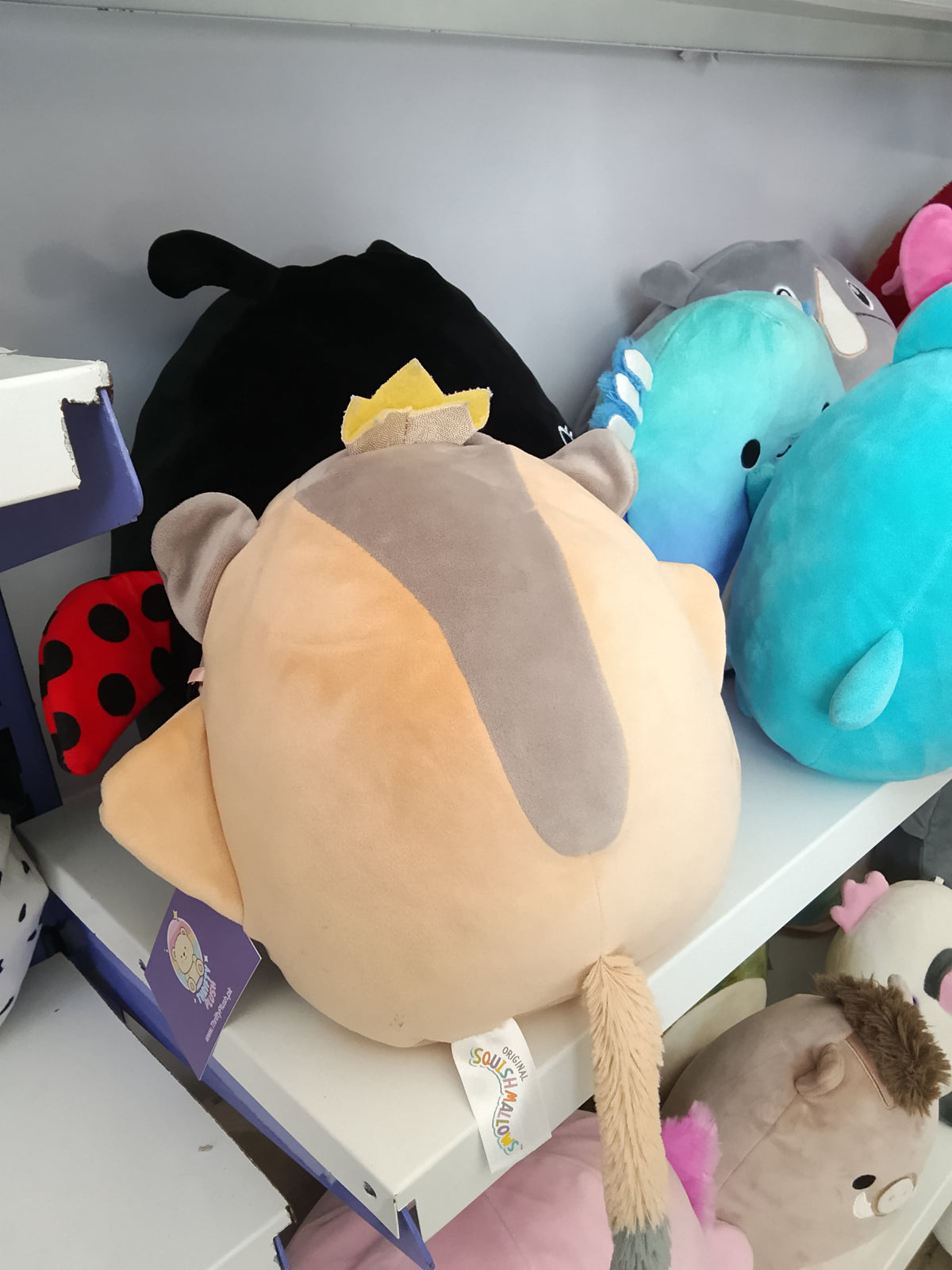 Squishmallows Ziv the Sugar Glider plush toy.