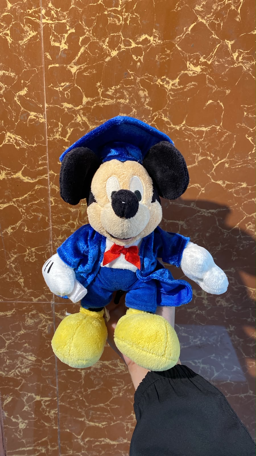 Graduation Mickey Mouse Plush Toy