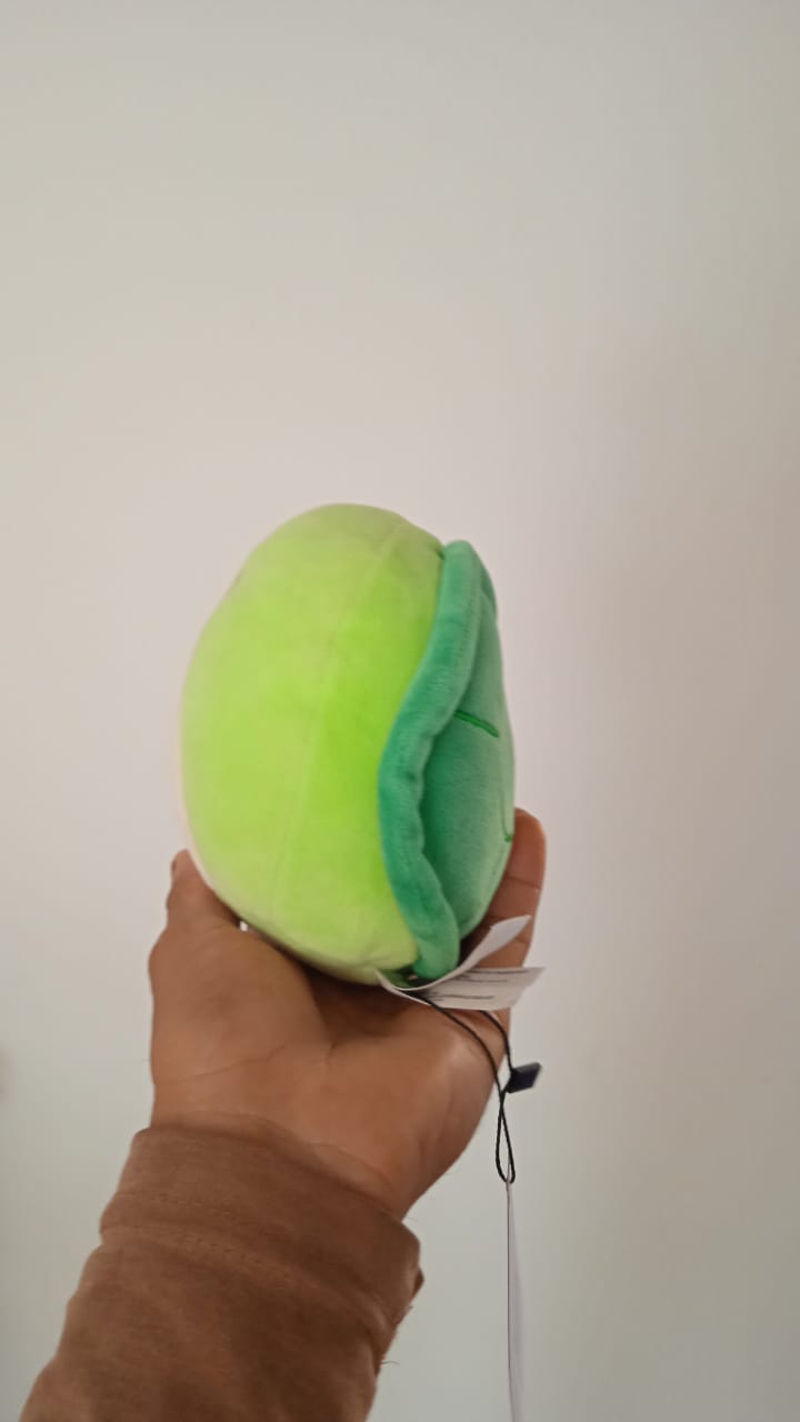 Henry the Turtle from the Squishmallows brand