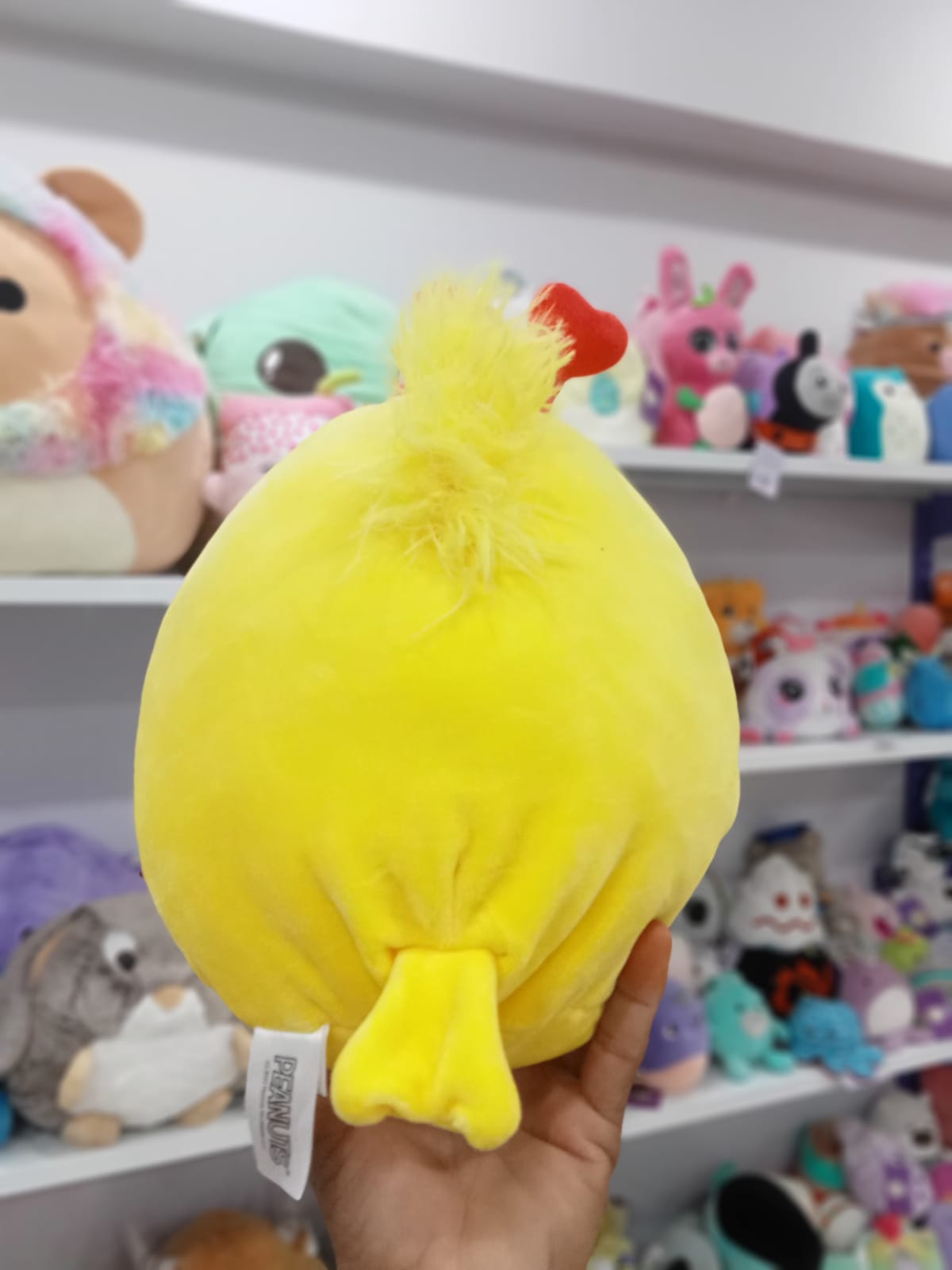 Woodstock from the Peanuts squad of Squishmallows plush toy.