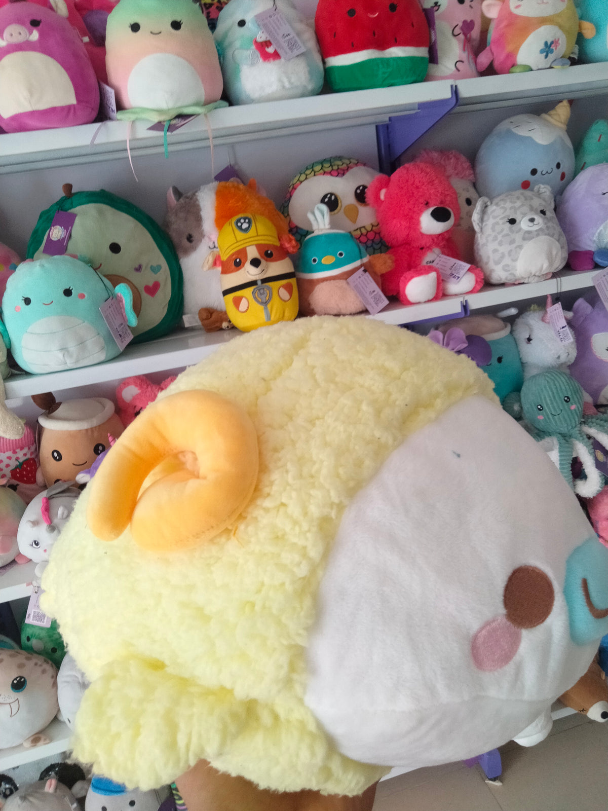 San-X Mamegoma plush toy
