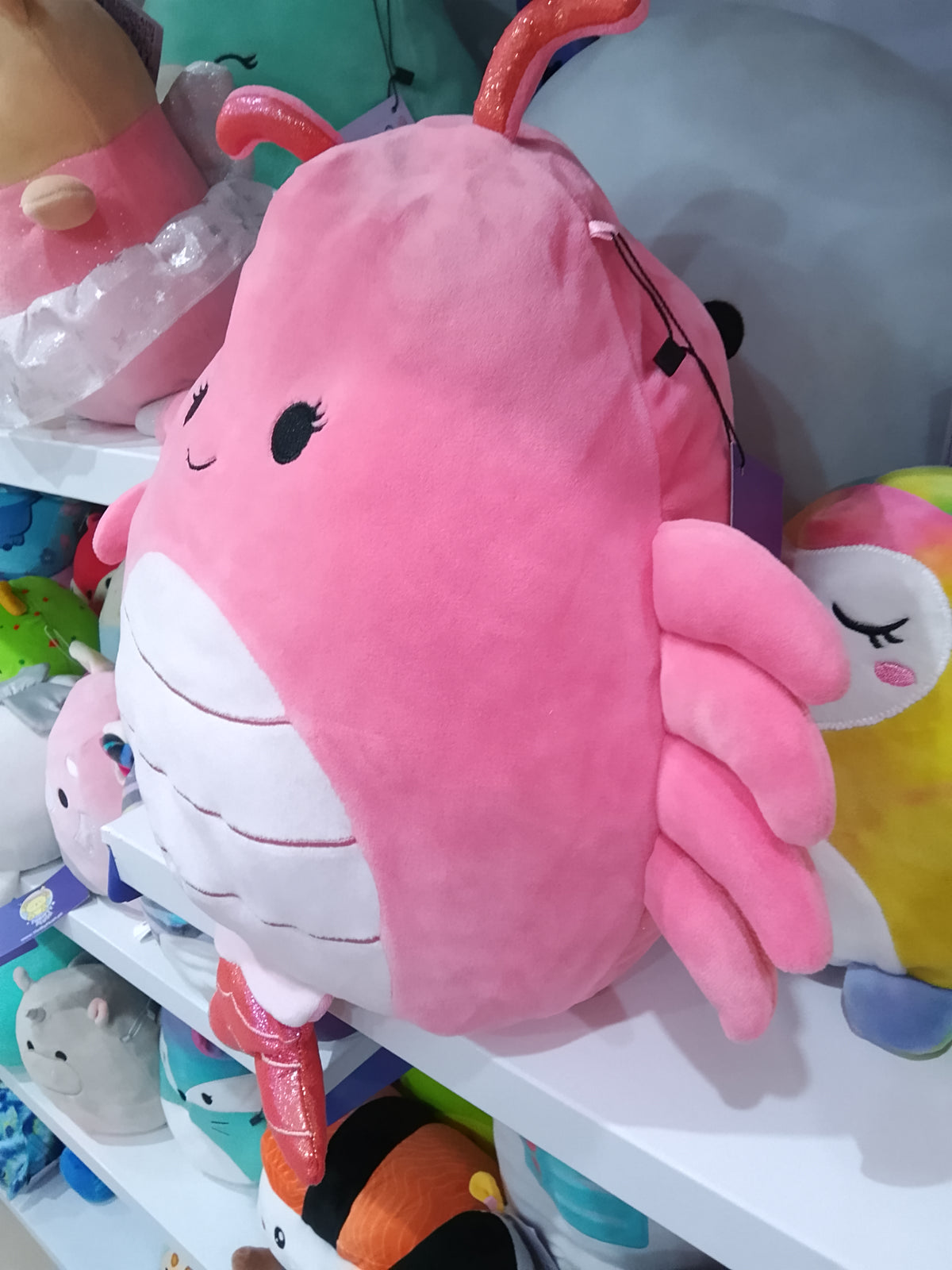 Simone the Shrimp Squishmallow soft plush toy.
