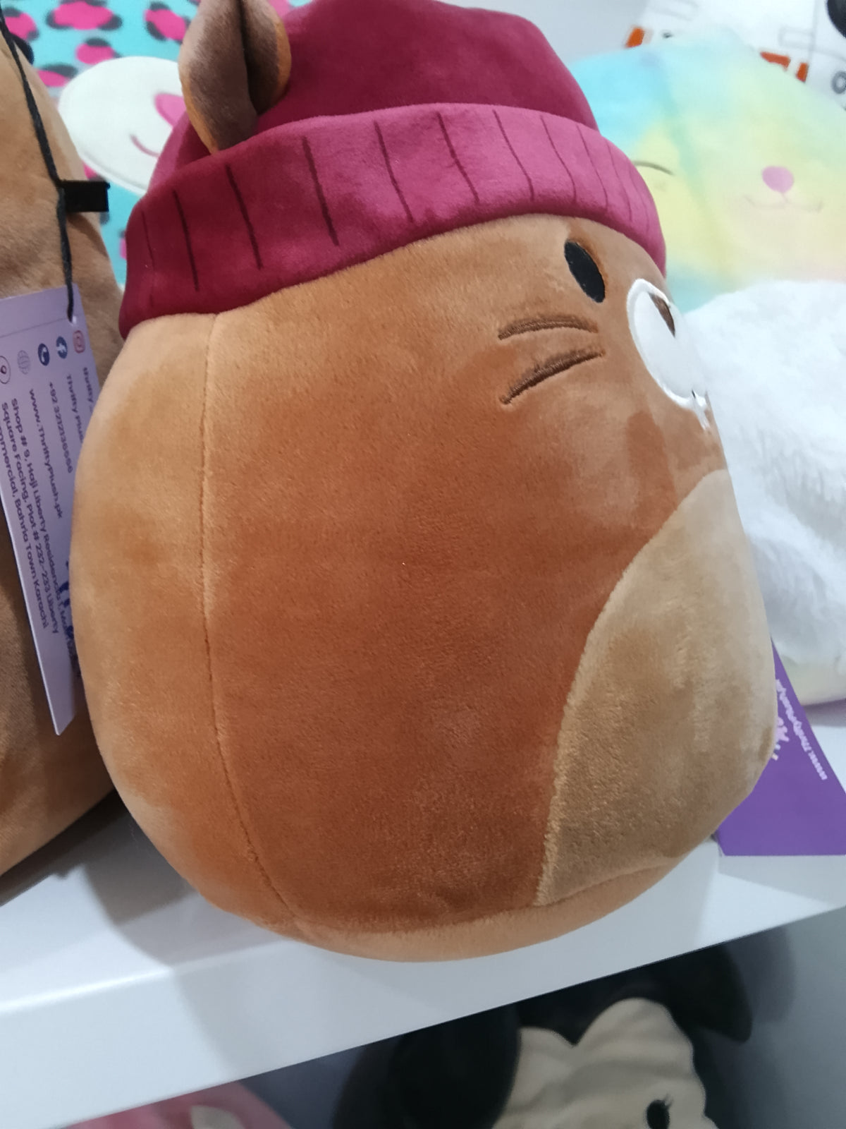 Squishmallows Chip the Beaver plush toy.