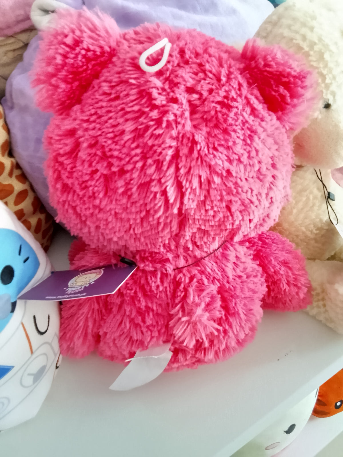 Teddy bear souvenir from Canada's Wonderland amusement park plush toy.
