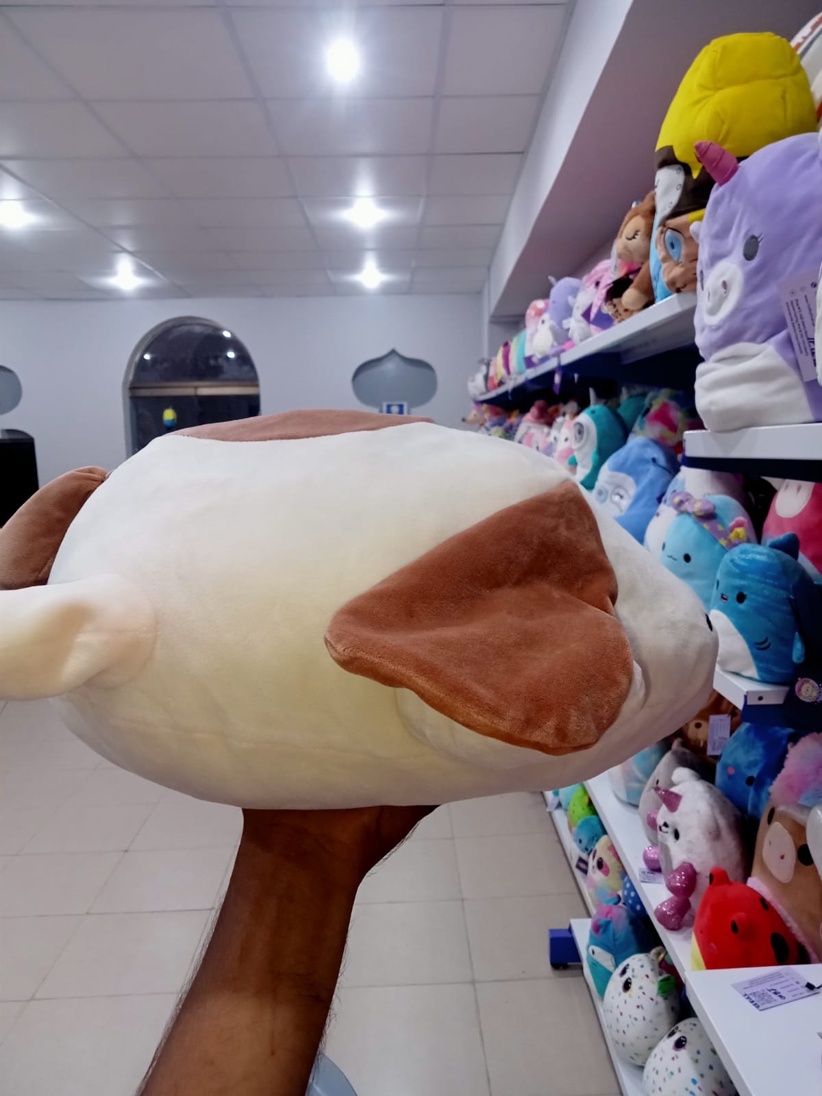 Squishmallows brand,Tyree the Beagle from the Kellytoy line.