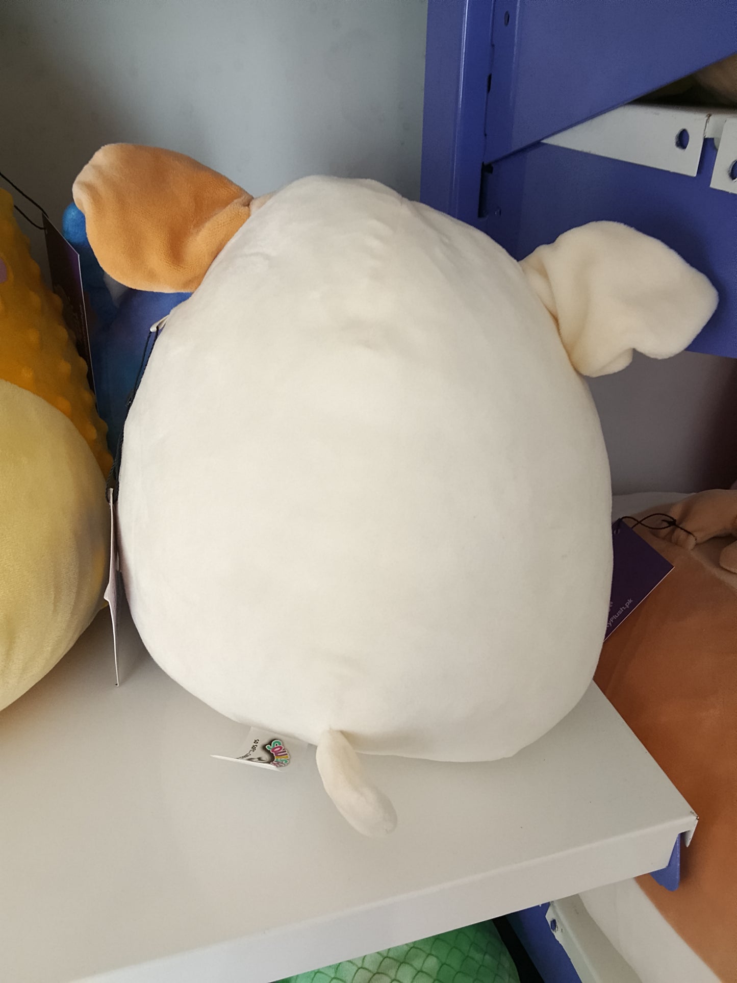 Squishmallows Brock the Bulldog plush toy, part of the Dogs Squad collection.