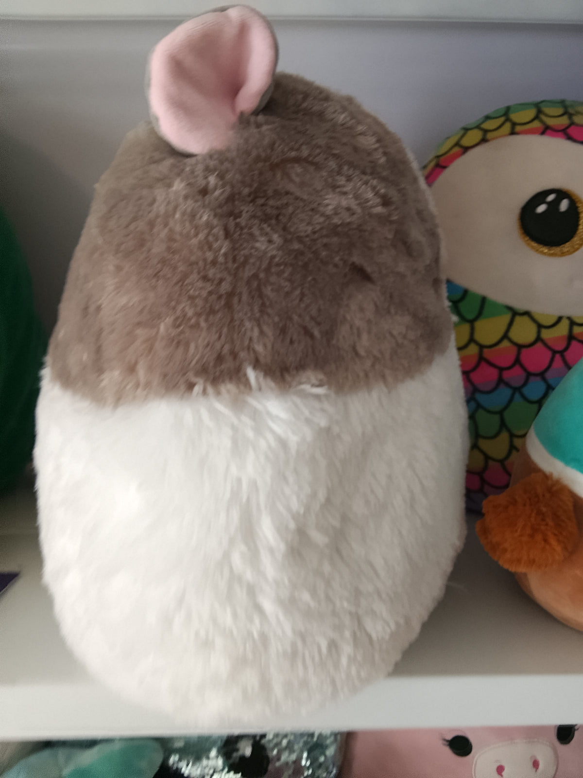 Squishmallows Fuzzamallows Everett the Guinea Pig plush toy, fuzzy texture and tri-color design.