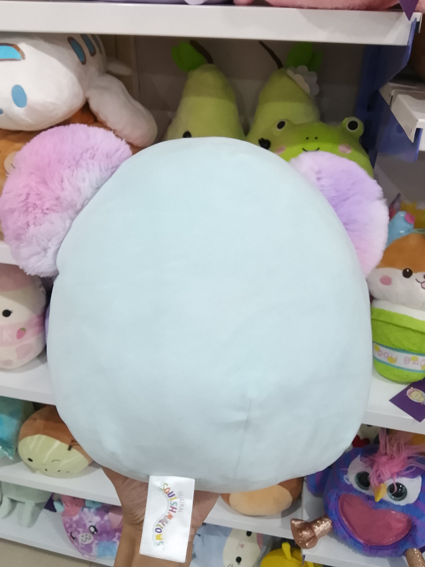 Squishmallow named Kya the Koala Plush Toy
