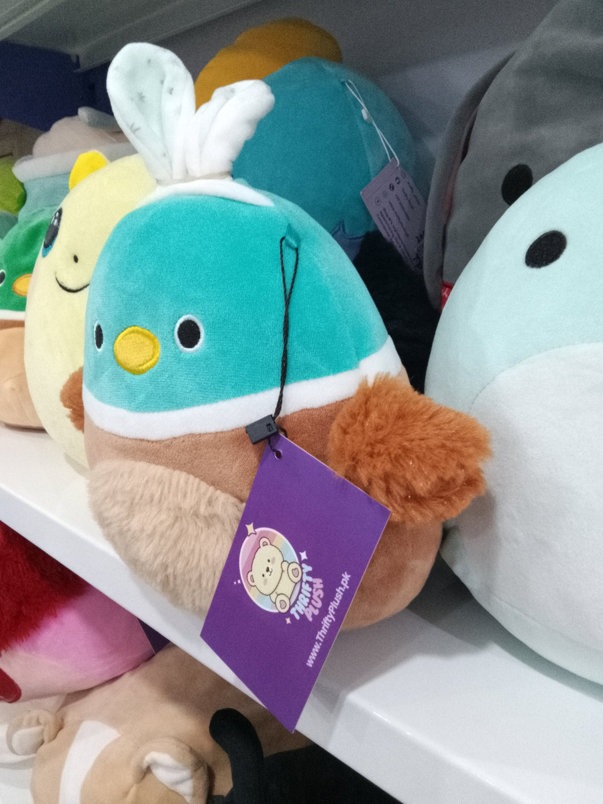 Squishmallows Daksa the Duck plush toy from the Kellytoy.
