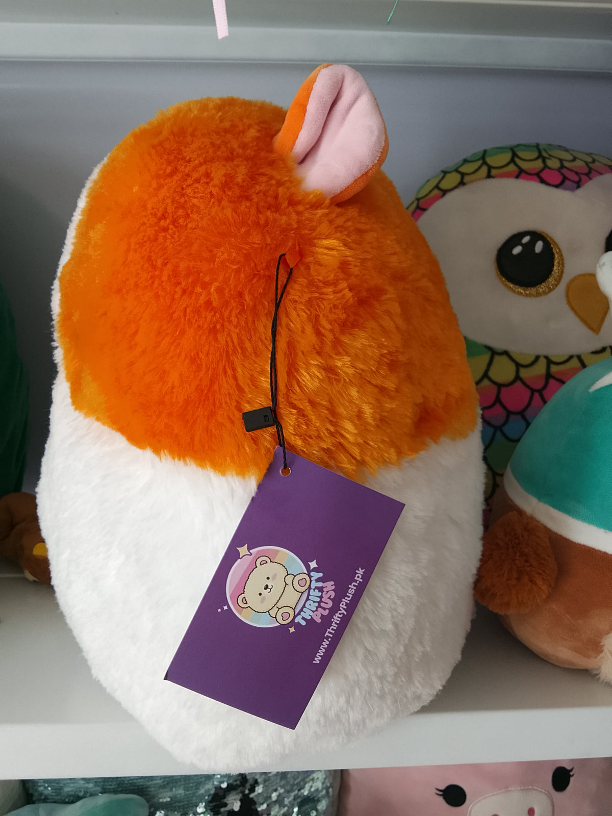 Squishmallows Fuzzamallows Everett the Guinea Pig plush toy, fuzzy texture and tri-color design.