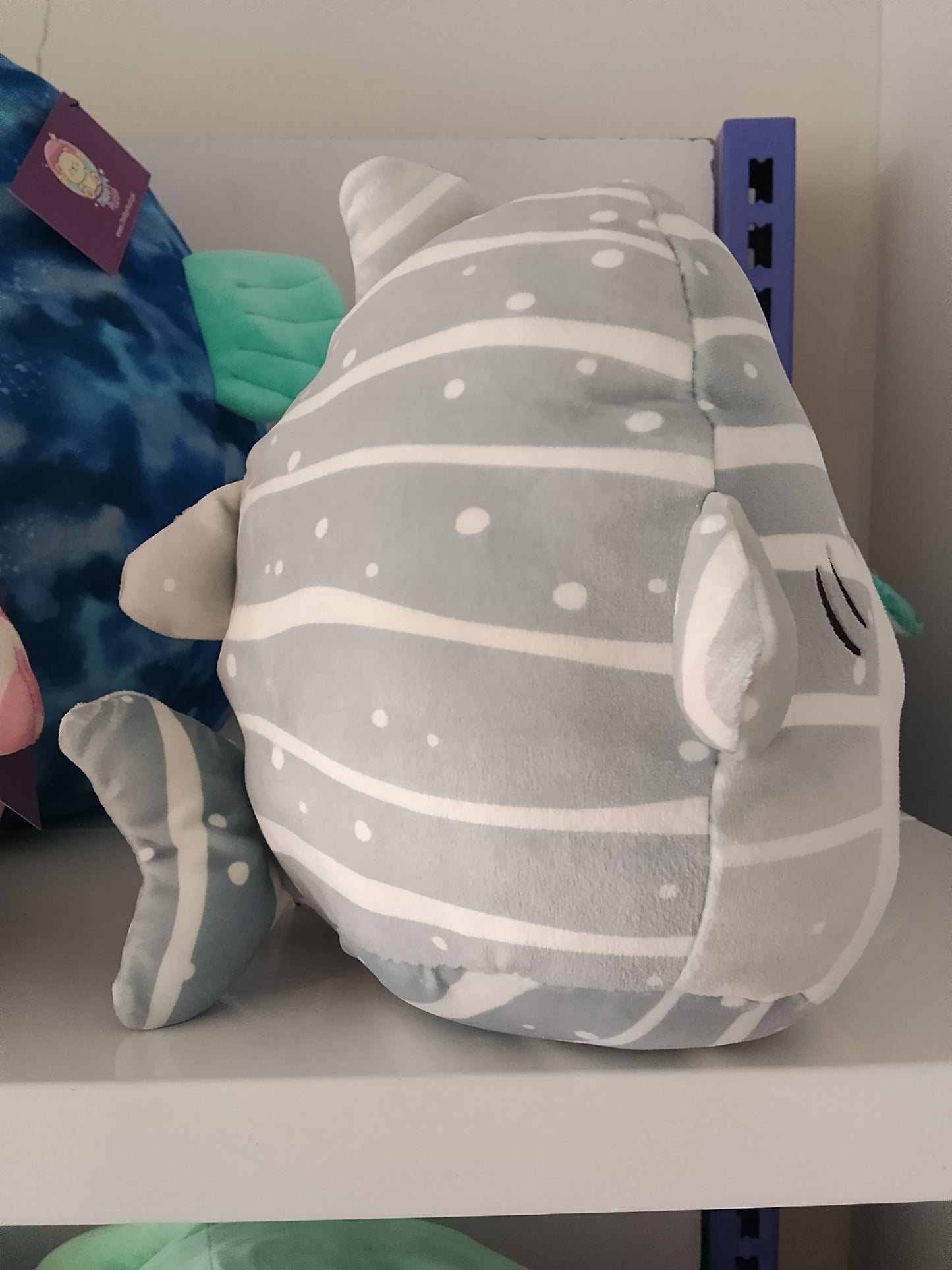 Squishmallows Sachie the Gray Striped Whale Shark plush toy.