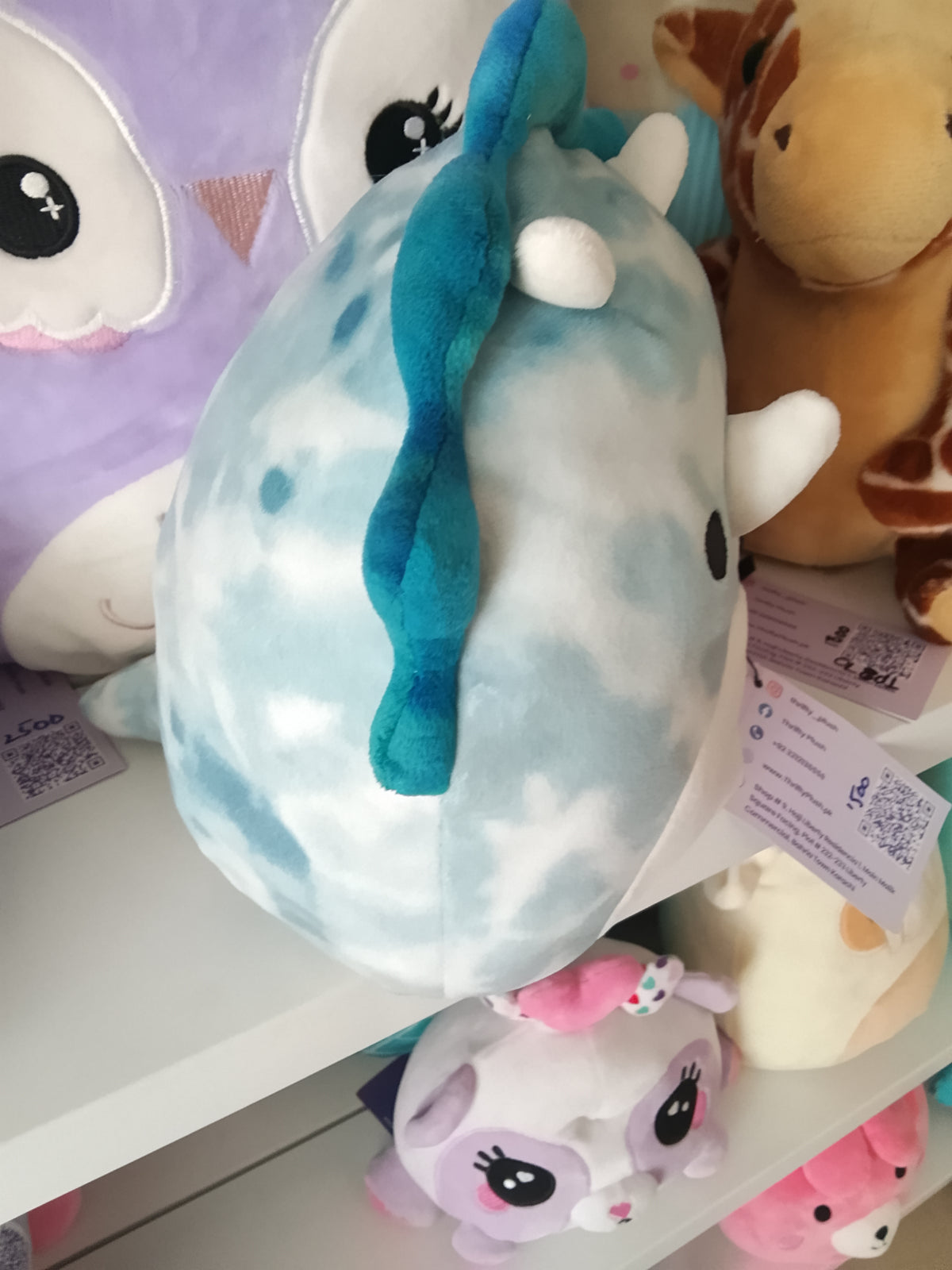 Squishmallows Jerome The Blue Triceratops plush toy.