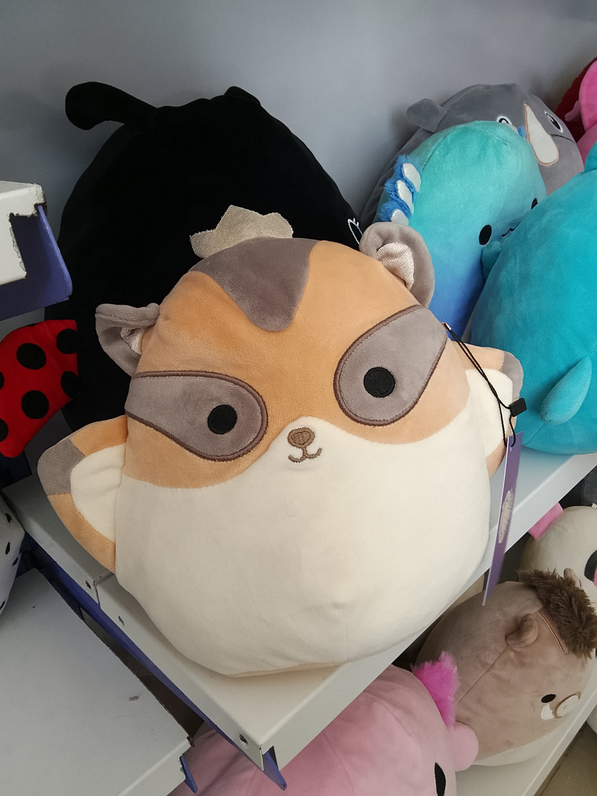 Squishmallows Ziv the Sugar Glider plush toy.