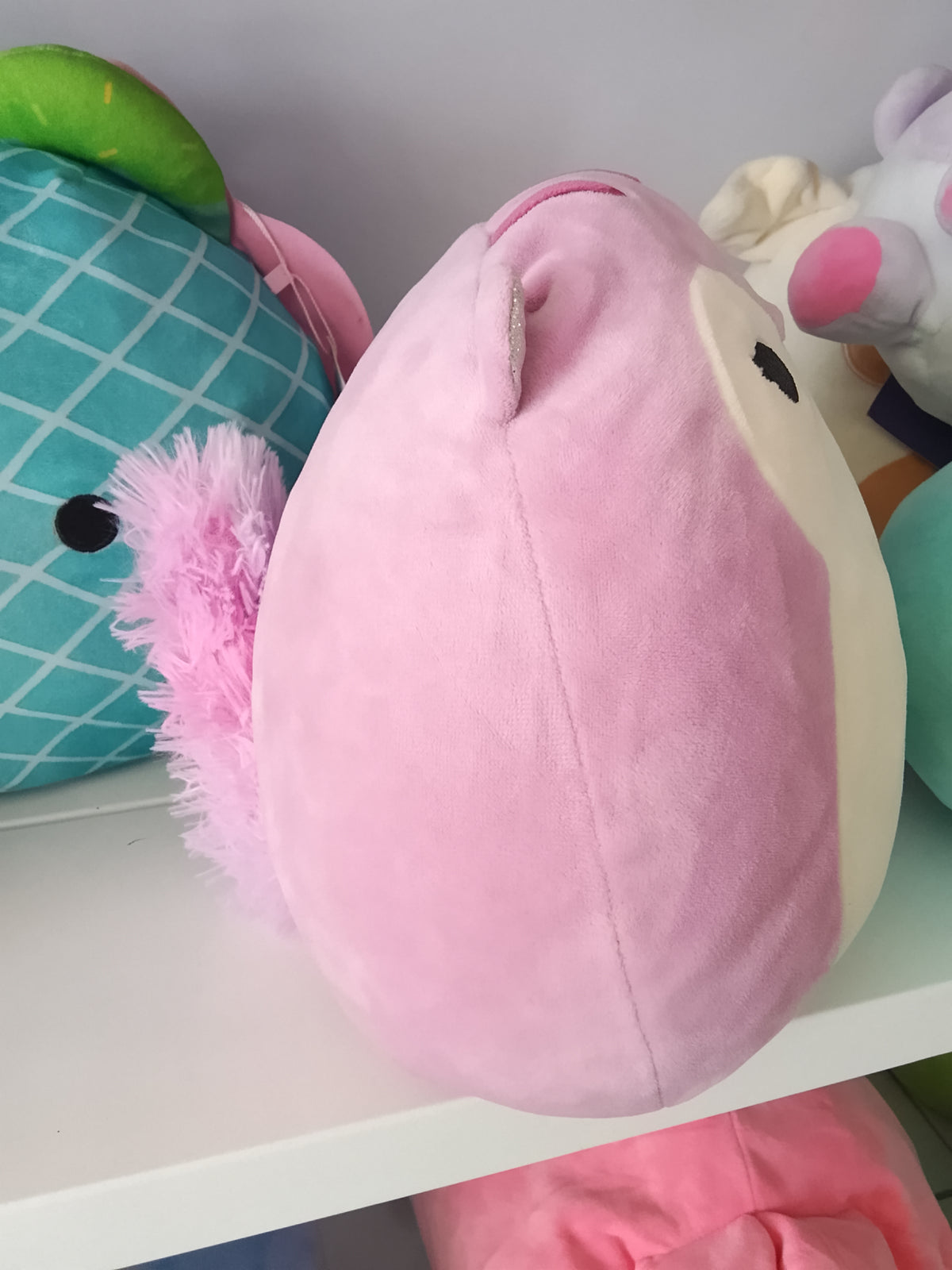 Squishmallows Allina the Squirrel plush toy.