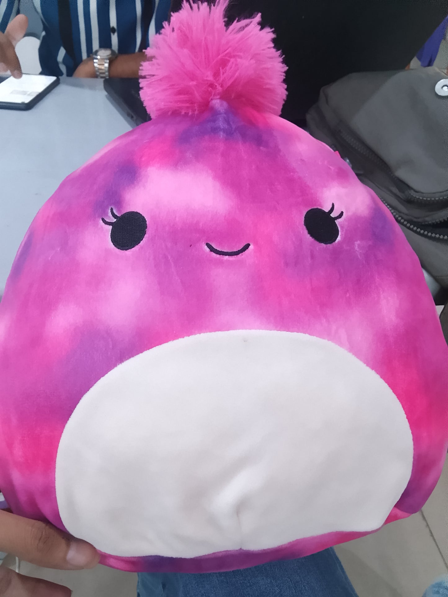 Lovisa the Chameleon, a character from the Squishmallows Squish-Doos series.