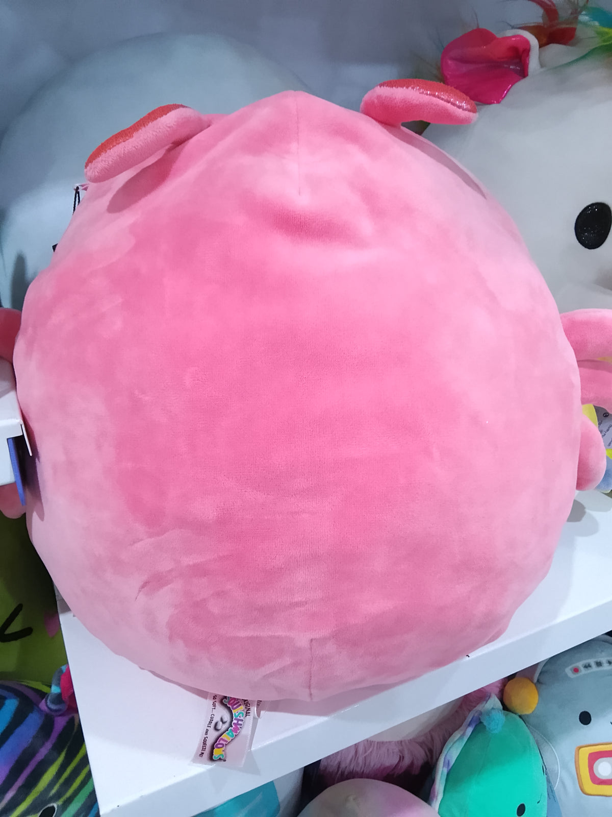 Simone the Shrimp Squishmallow soft plush toy.