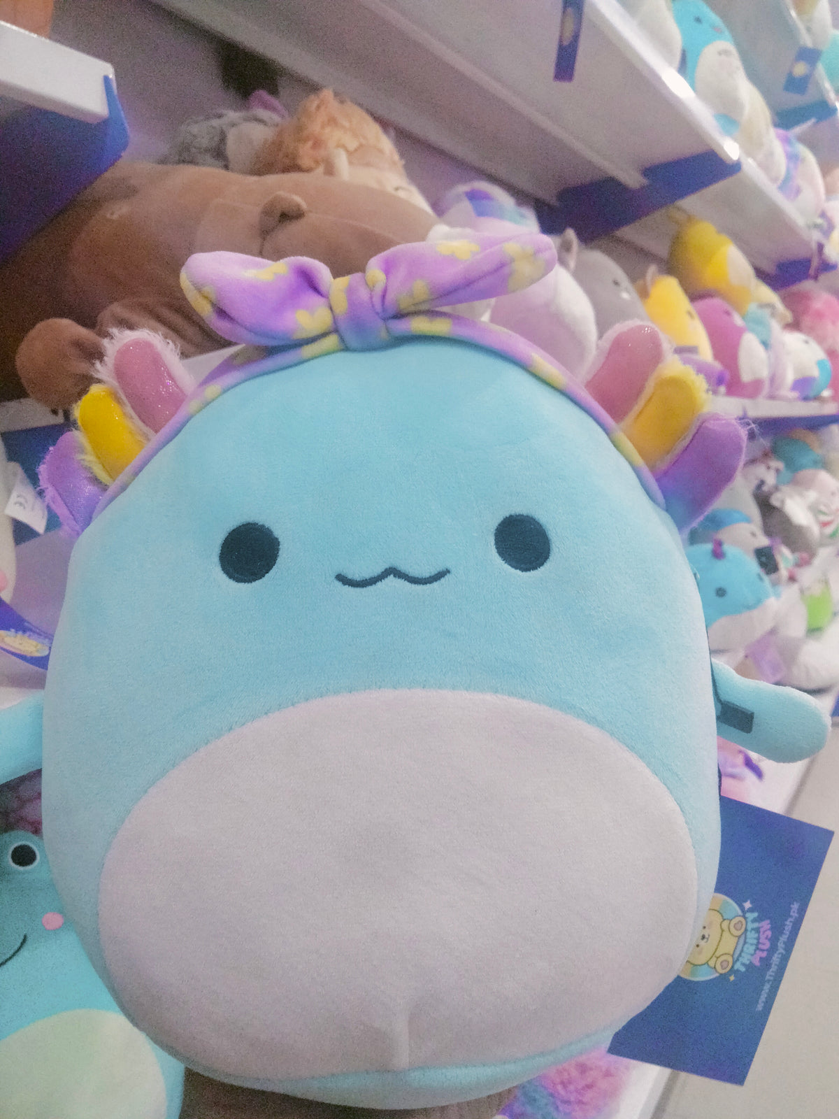 Squishmallows Irina the Teal Axolotl plush toy.