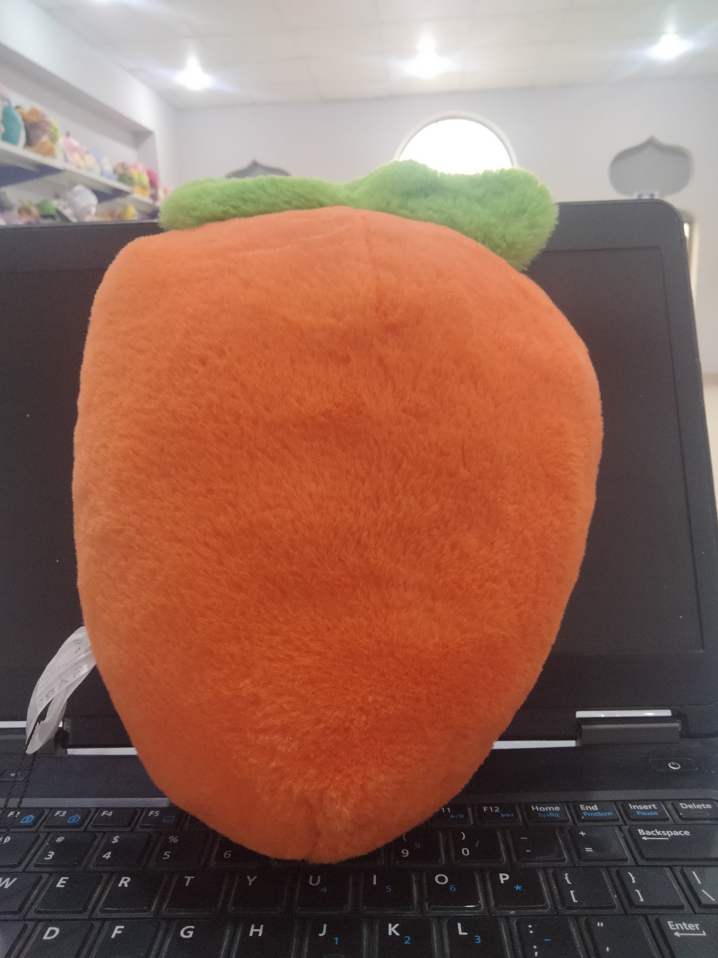 carrot-shaped plush toy