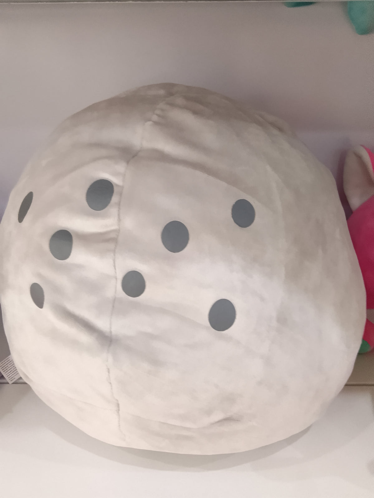 SAMEZU Sunglass Mochi Plush Yummy Seal character stuffed animal with teal goggles.