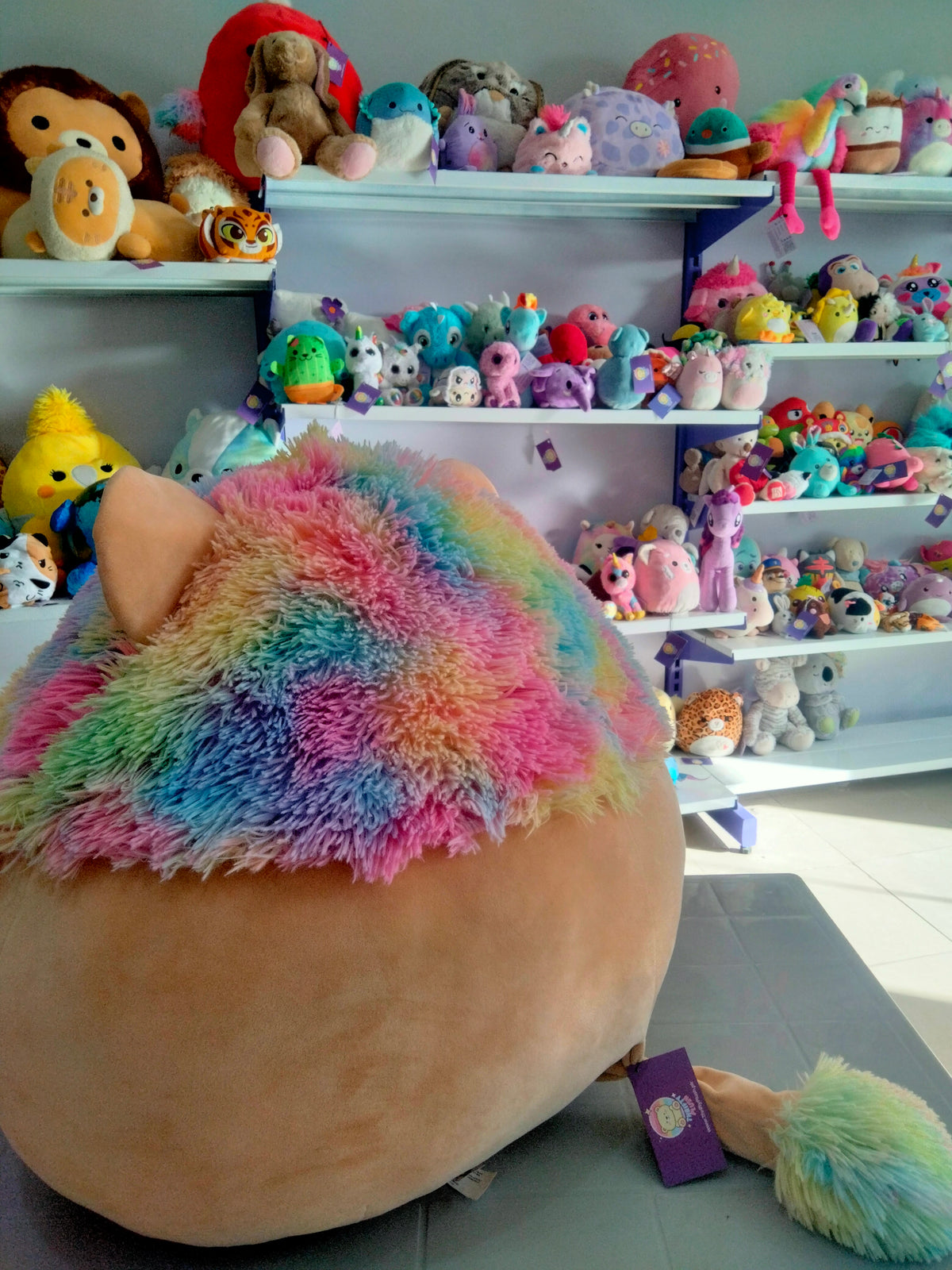 Leonard the Rainbow Lion Squishmallow plush toy.