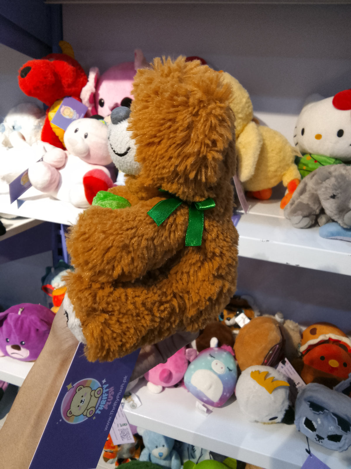 Bear holding Avocado Plush Toy