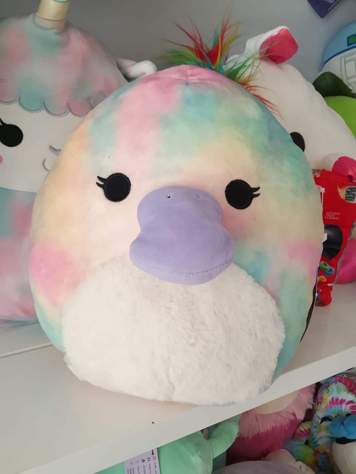 Squishmallows plush toy, specifically Brindall the Platypus.