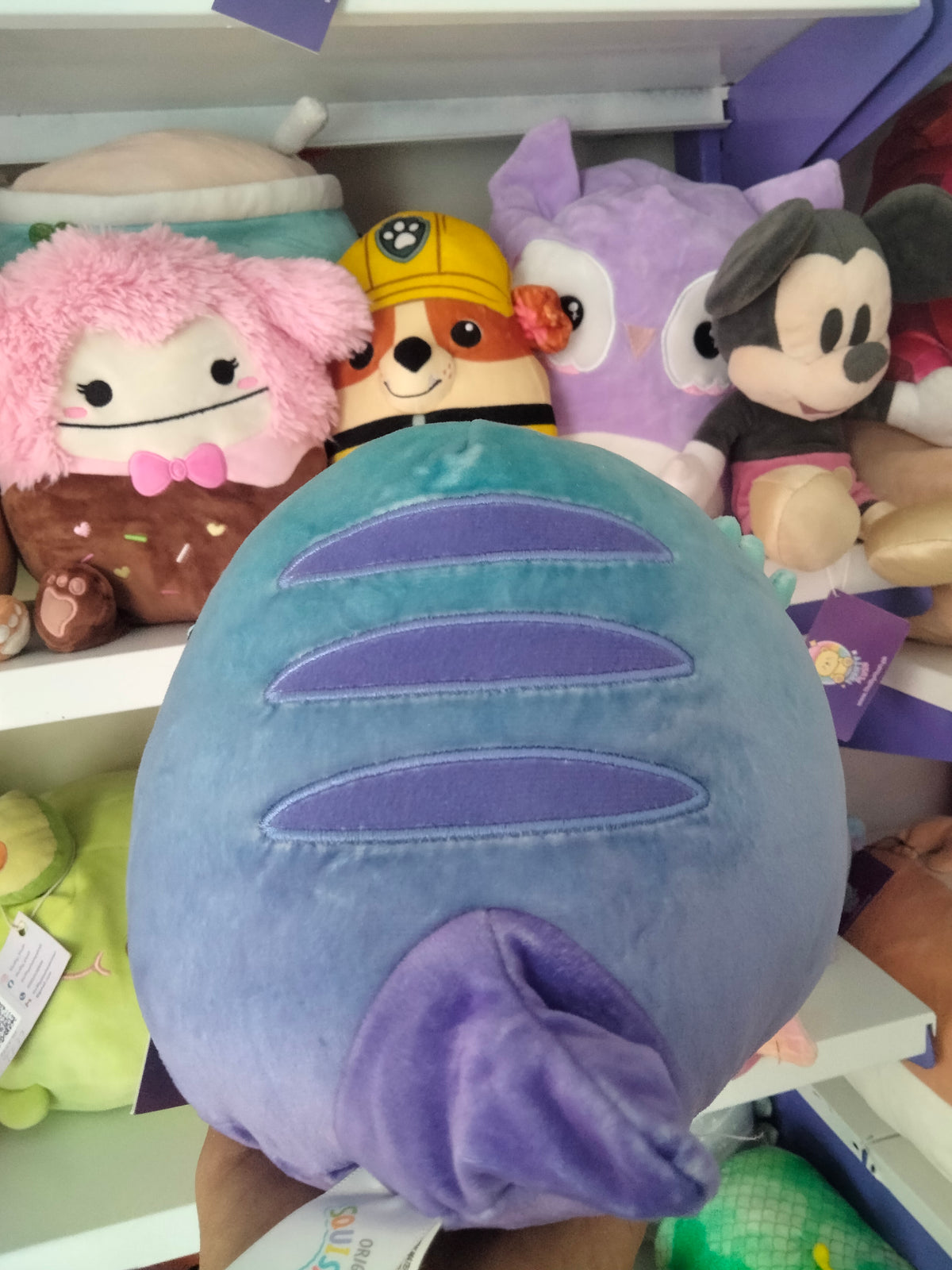 Squishmallows plush toy, specifically the character Cella the Teal Bearded Dragon.