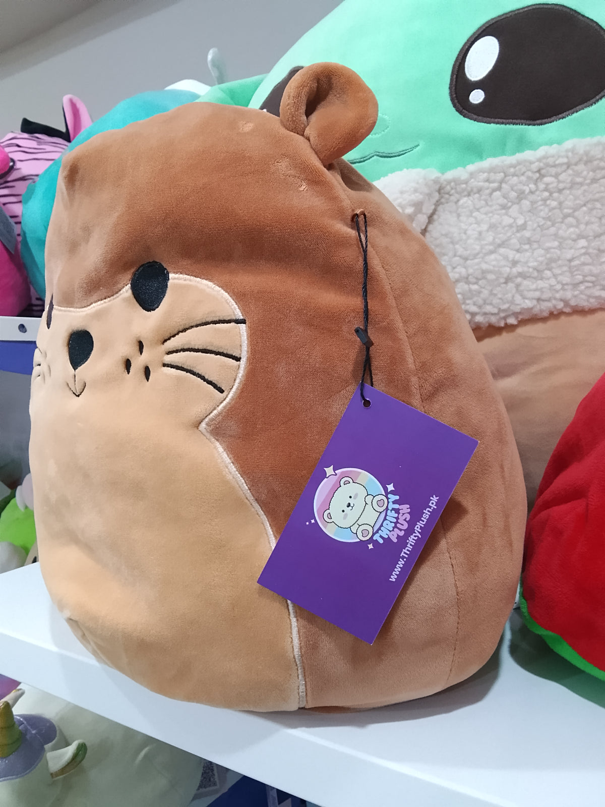 Squishmallows plush toy, specifically the character Joanne the Sea Otter.