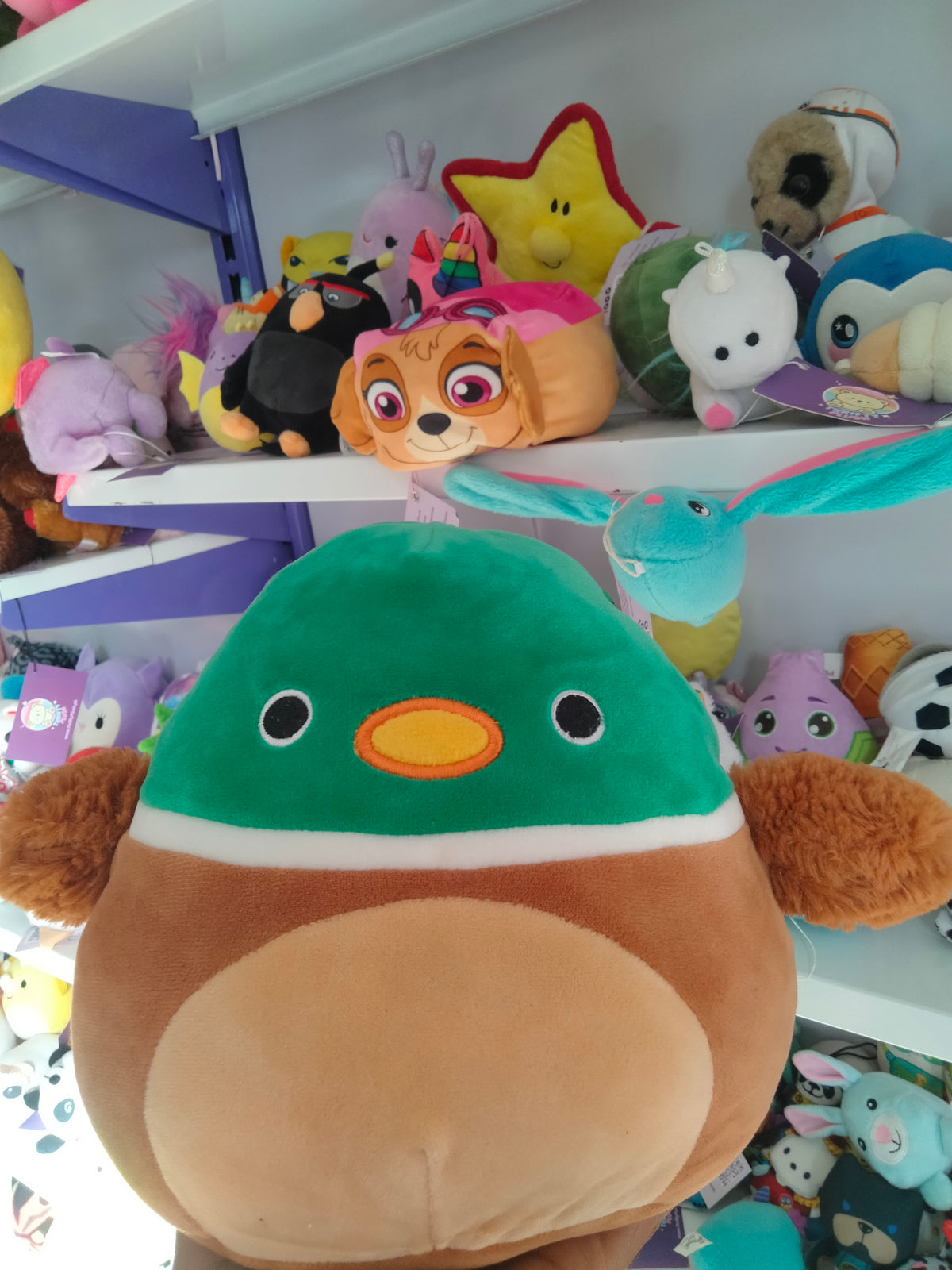 Squishmallows Avery the Mallard Duck plush toy.