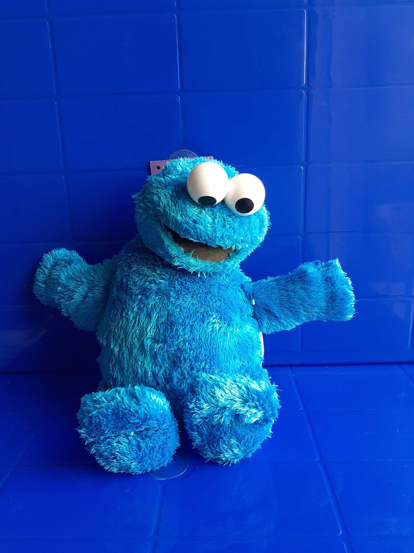 Cookie Monster Plushie Toy From Sesame Street