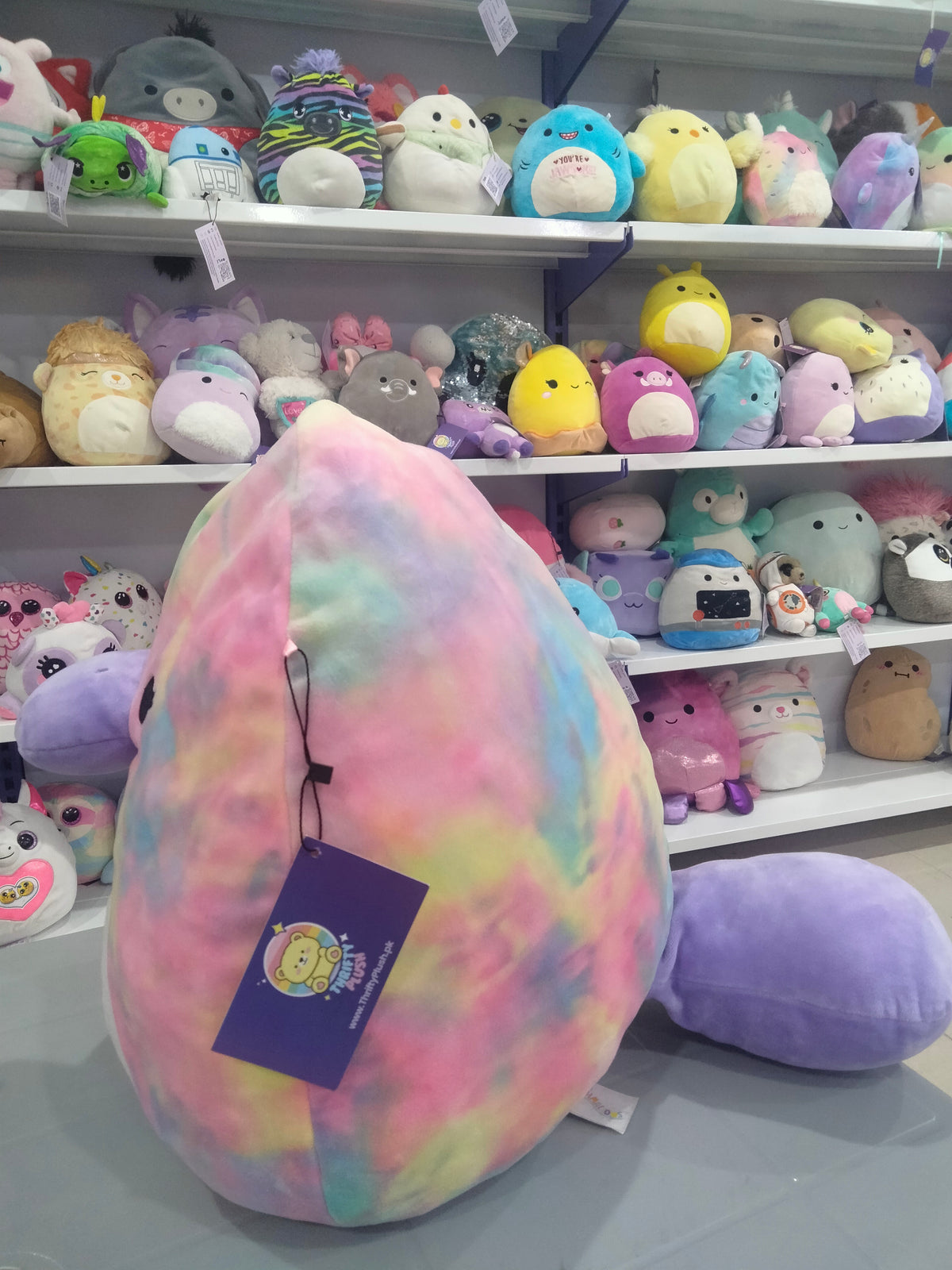 Squishmallows plush toy, specifically Brindall the Platypus.