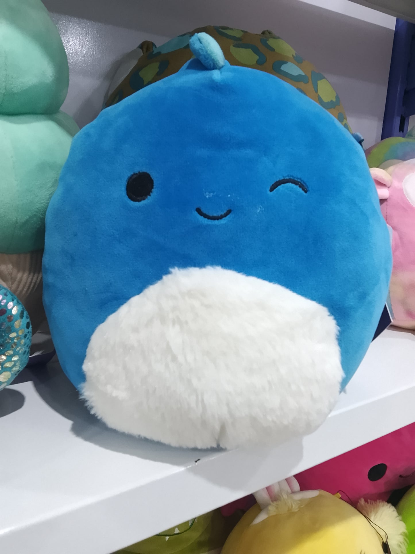 Squishmallows Brody, a blue winking dinosaur with a fuzzy white belly plush toy