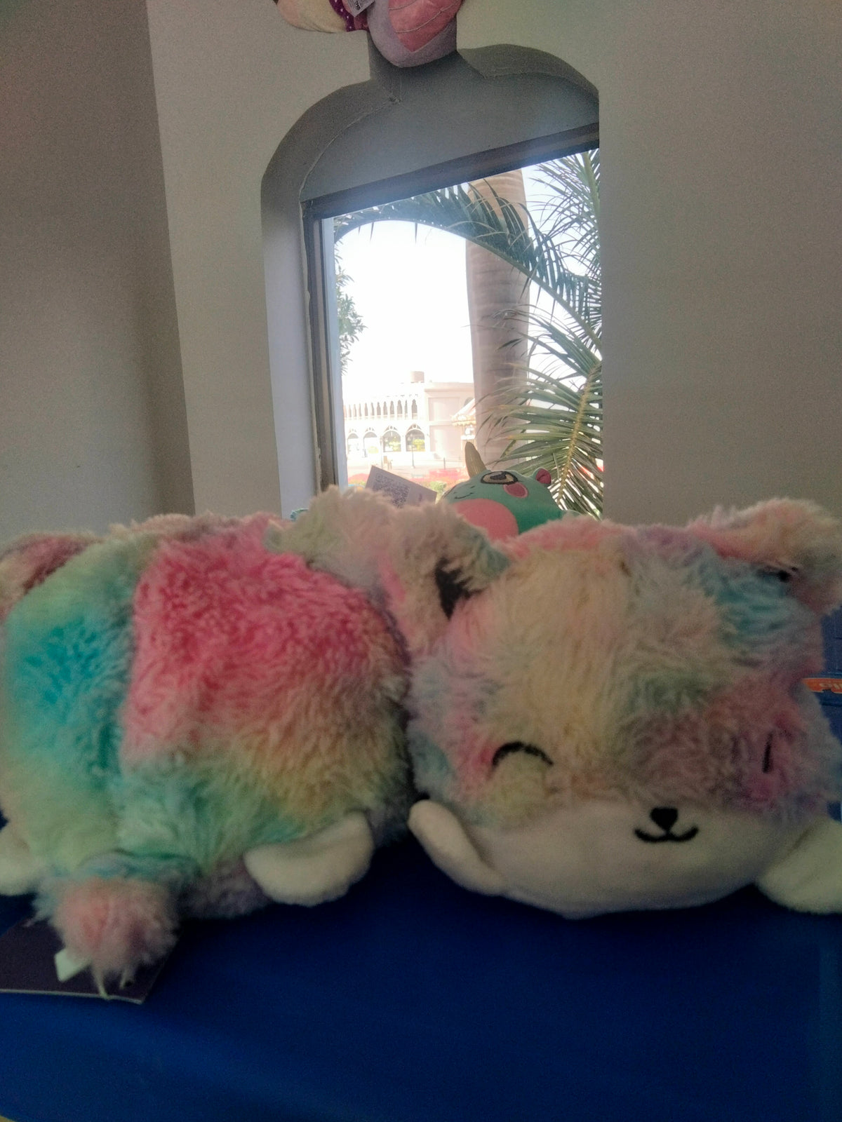 mood rainbow cat plush toy.