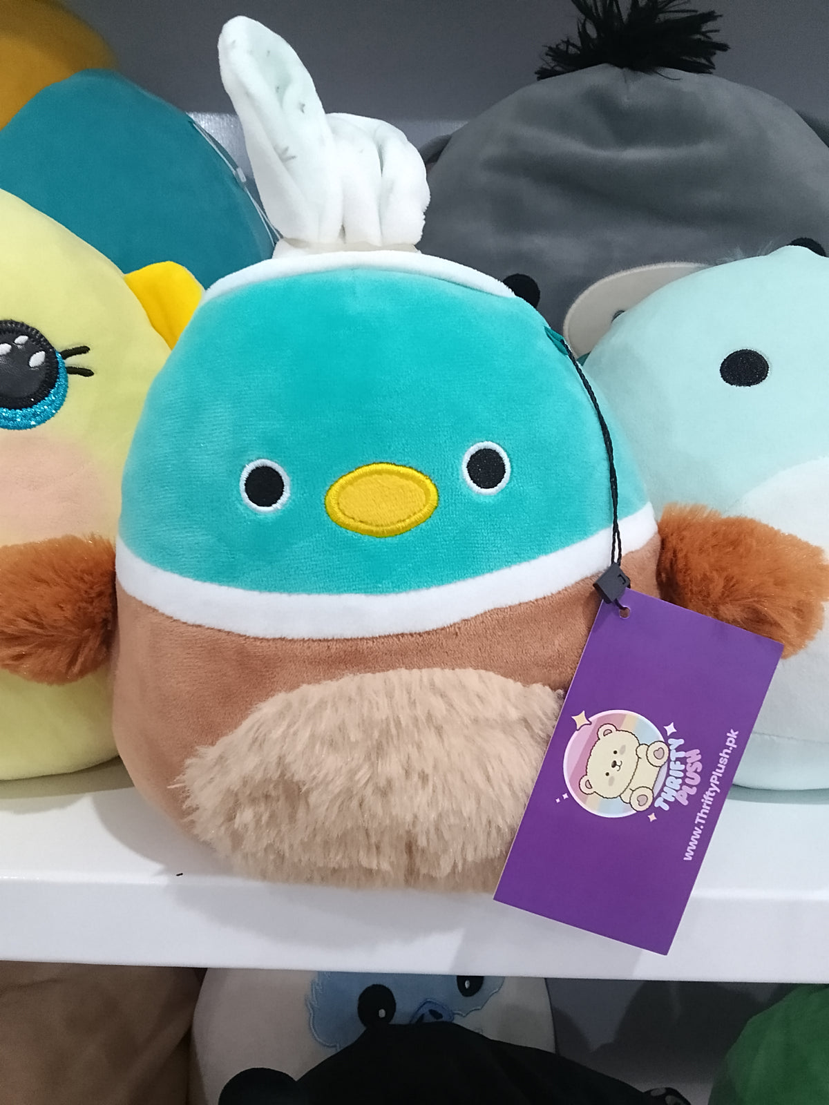 Squishmallows Daksa the Duck plush toy from the Kellytoy.