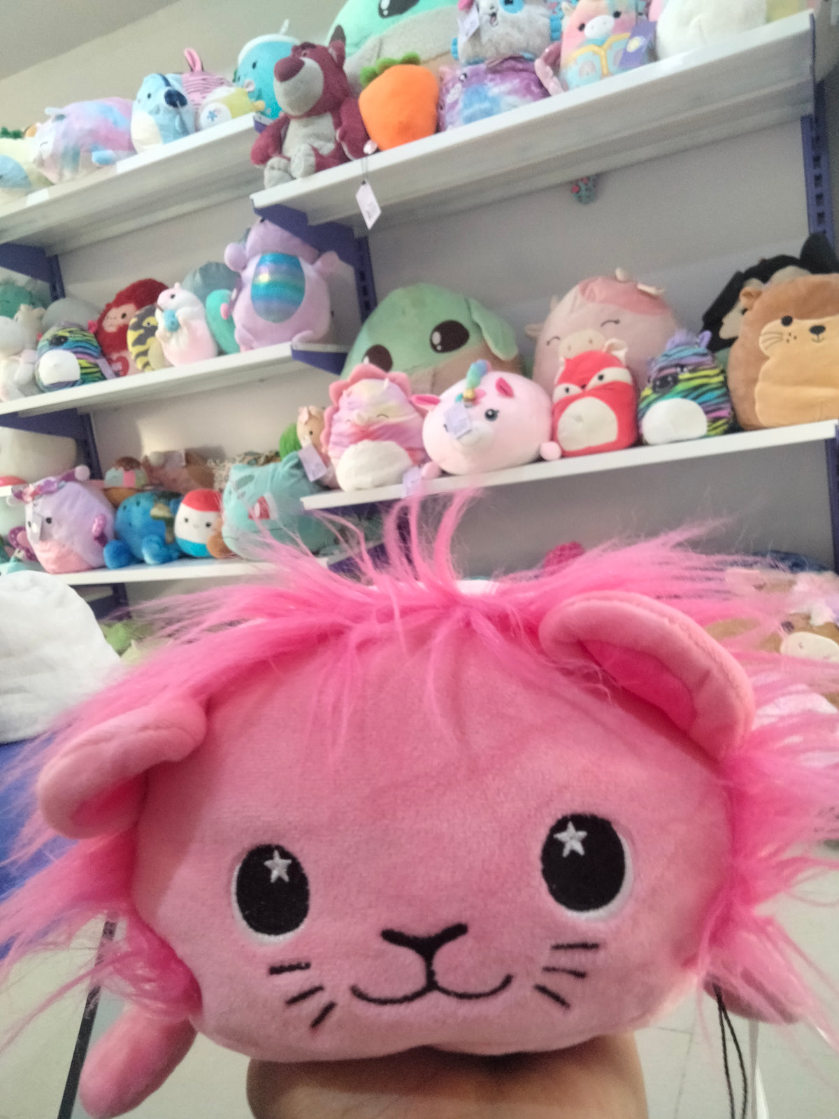 pink Moosh-Moosh Princ