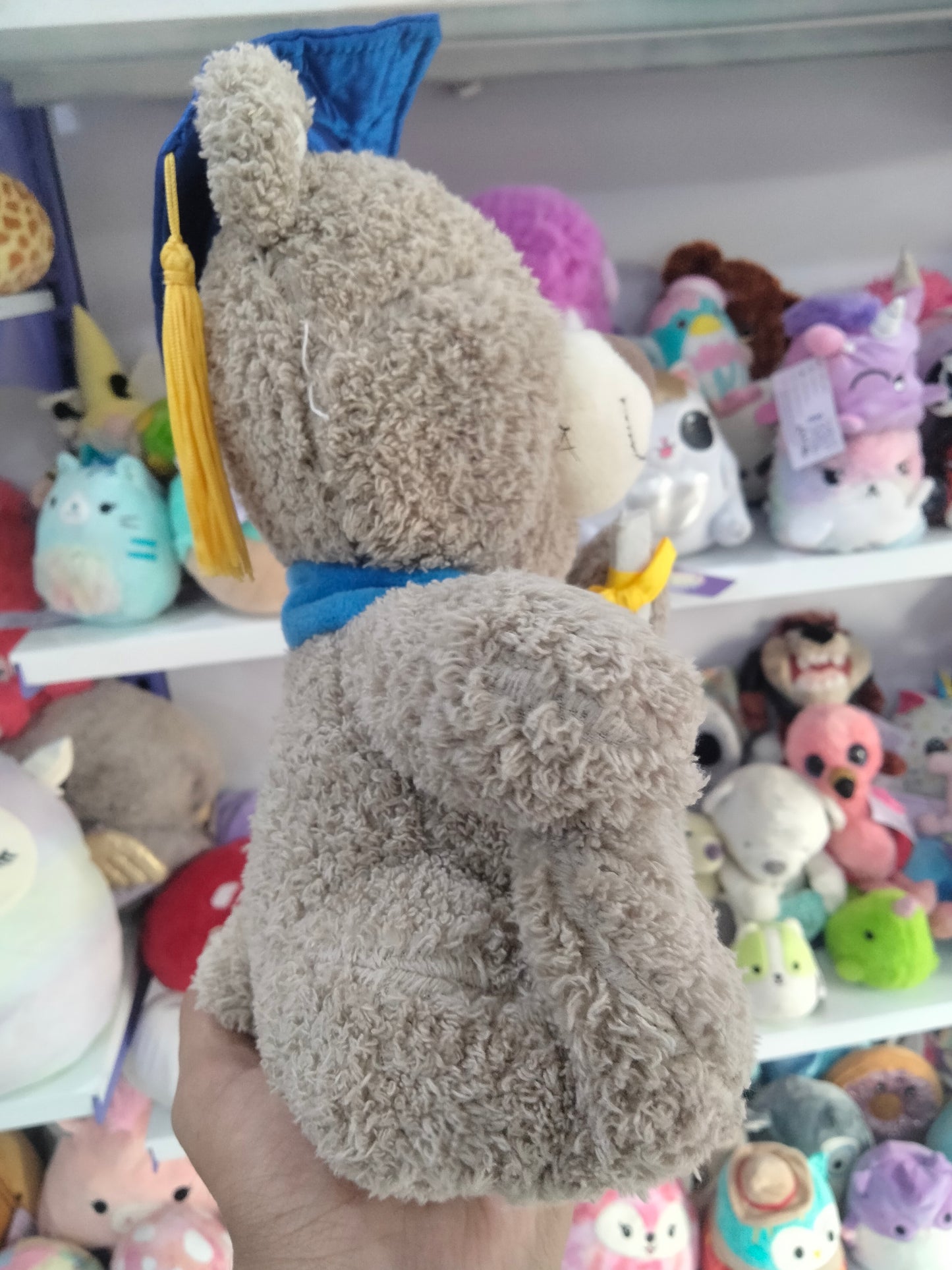 Celebrate Graduation 2022 Plush Brown Bear.