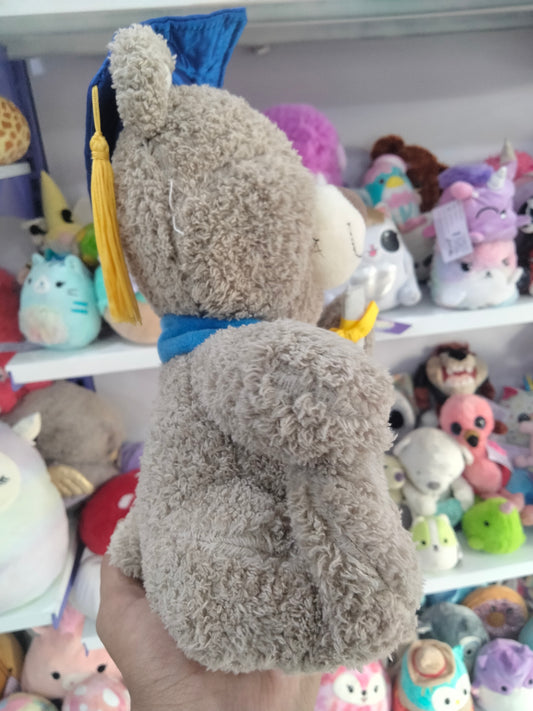 Celebrate Graduation 2022 Plush Brown Bear.