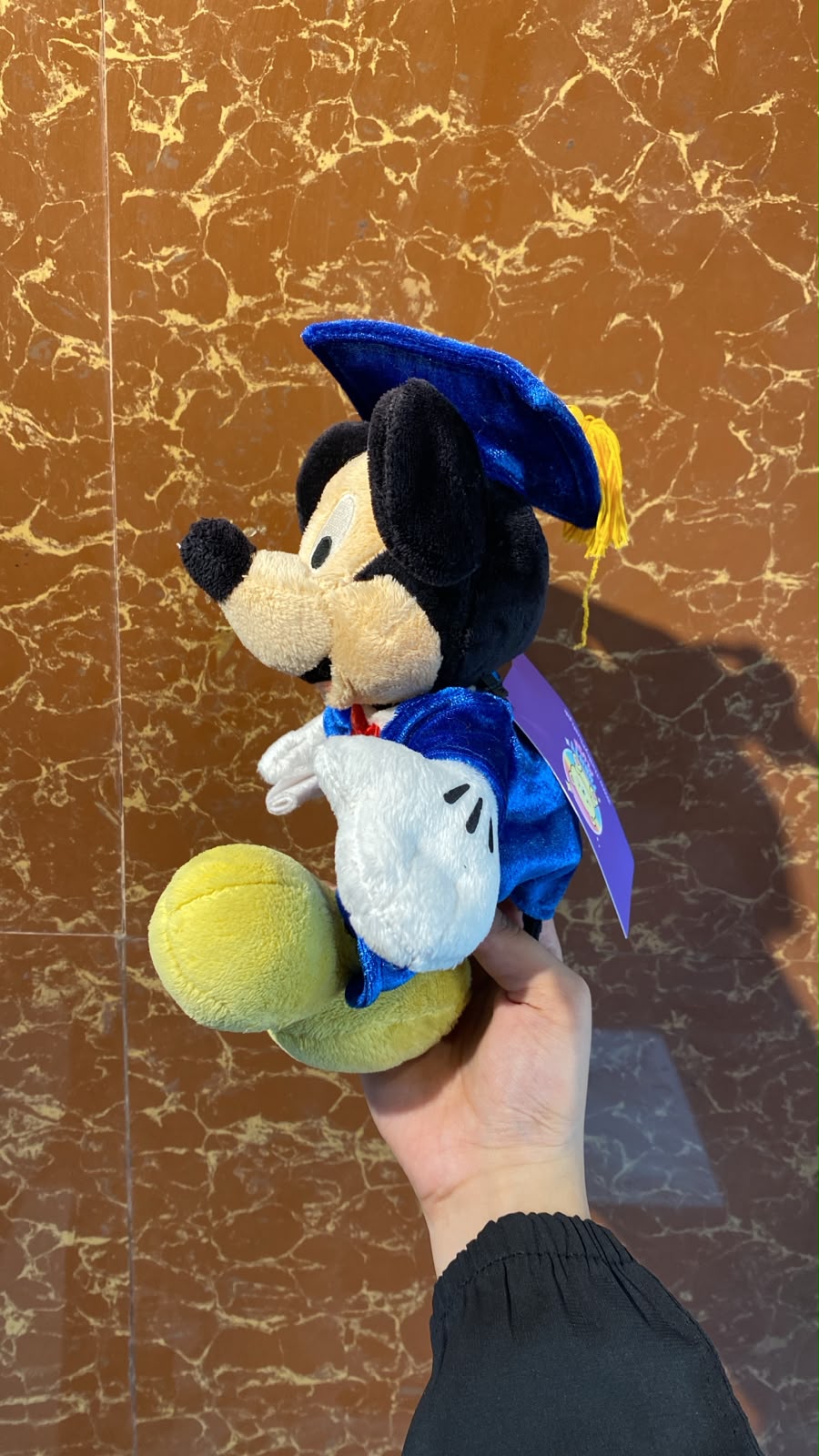 Graduation Mickey Mouse Plush Toy