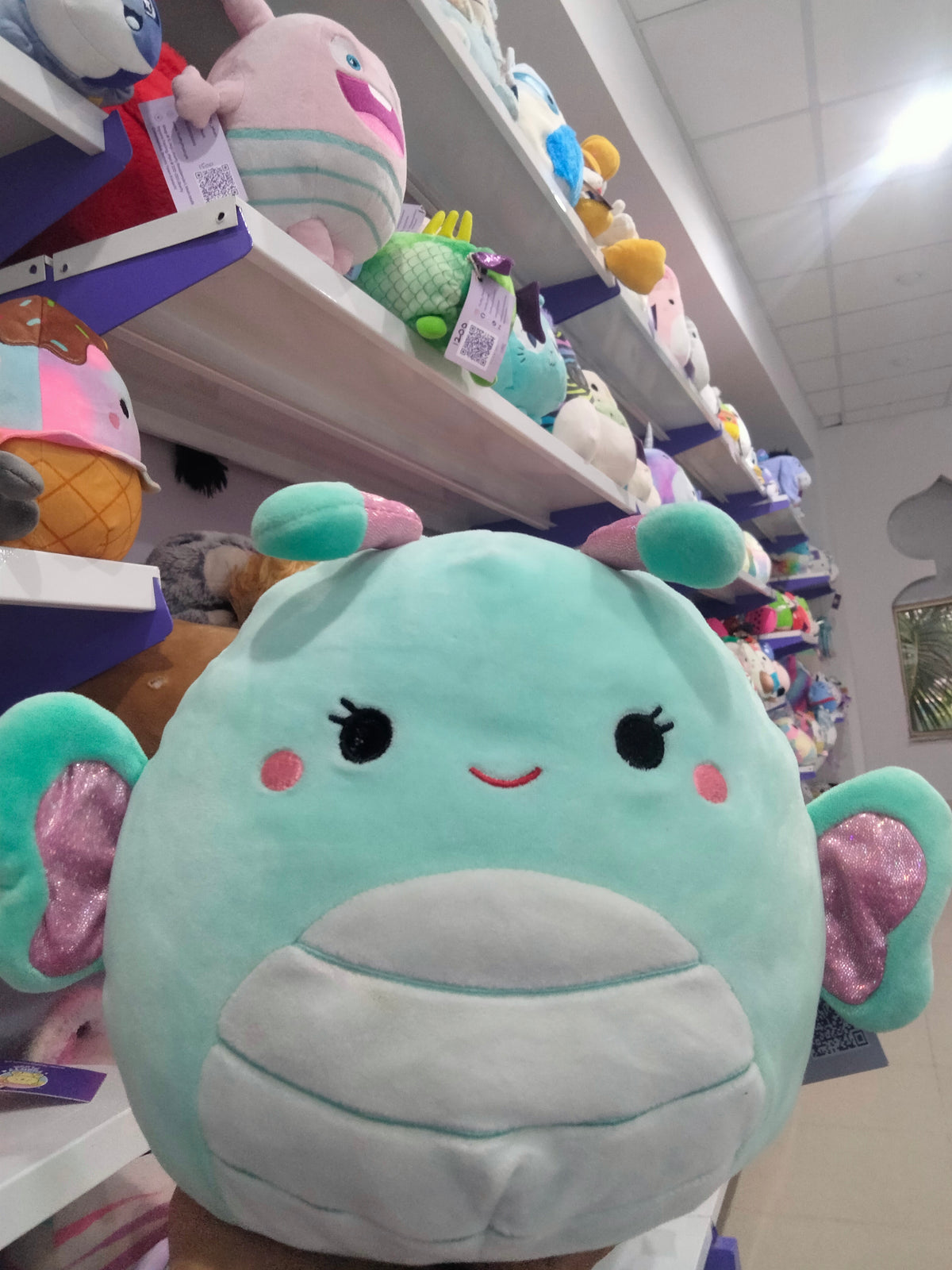 Squishmallows plush toy featuring Reina the Butterfly.