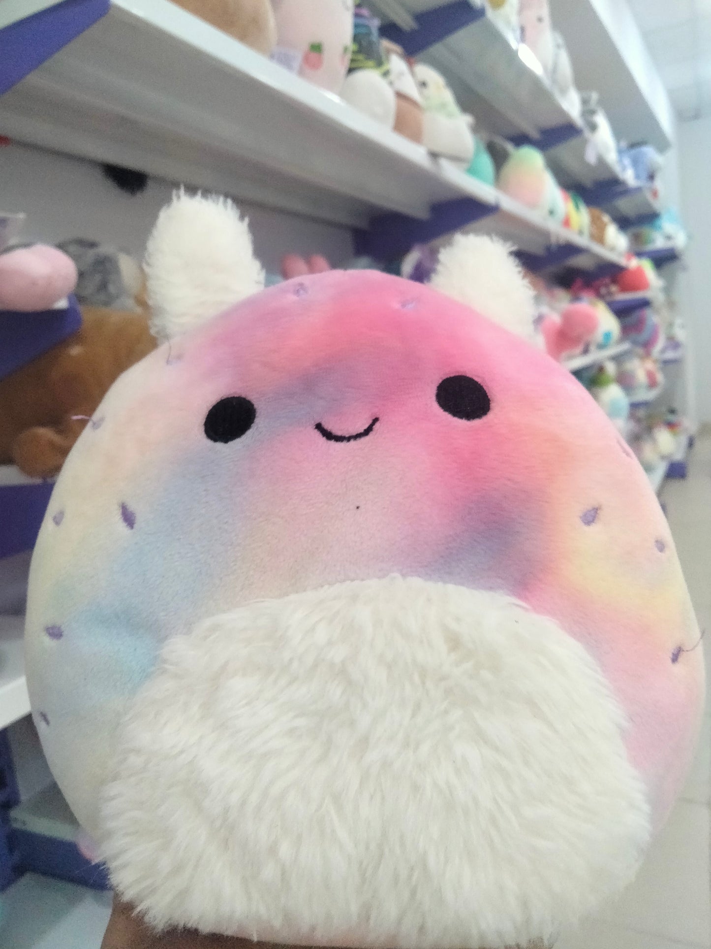 Squishmallows The Sea Bunny