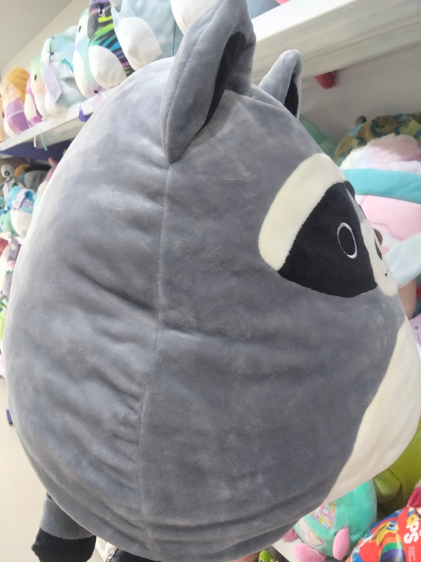 Squishmallows Rocky the Raccoon plush stuffed animal.