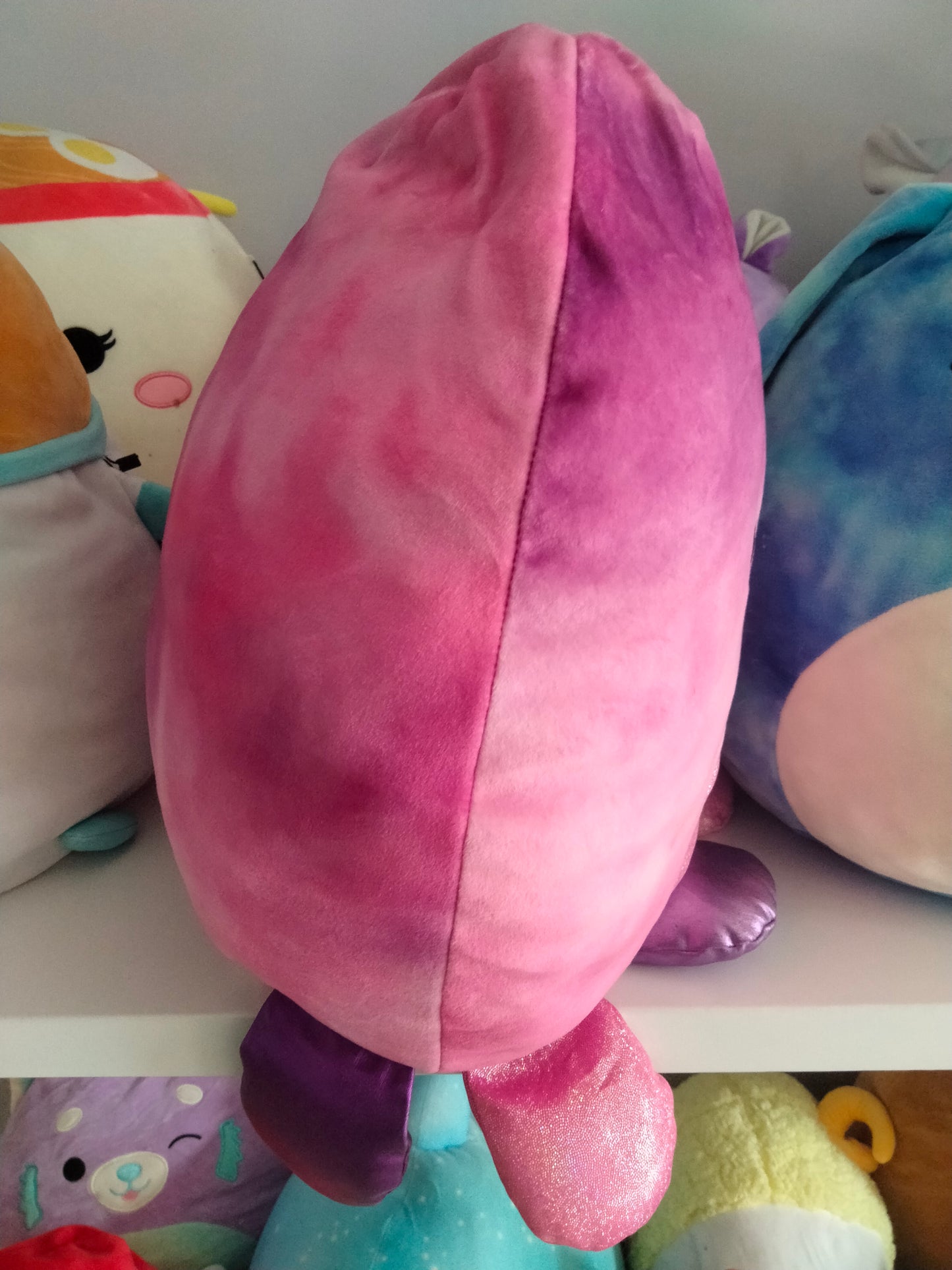 Adelaide the Octopus.