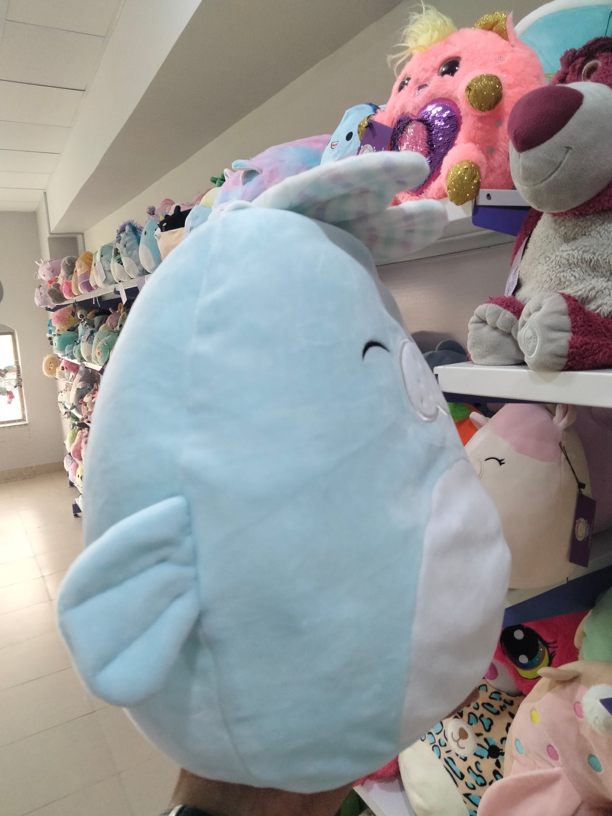 Squishmallows 8-inch plush toy of Abel the Manatee